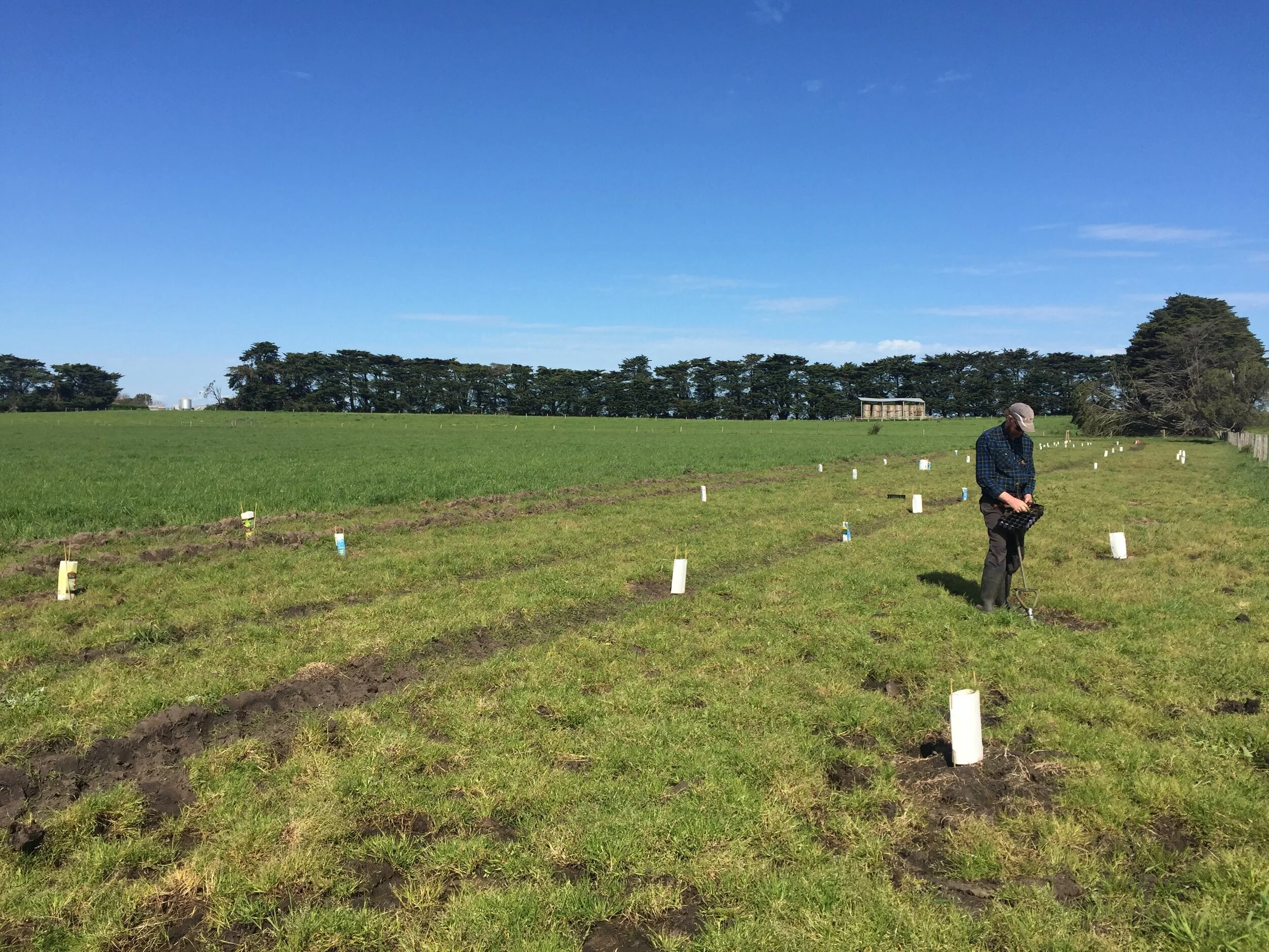 Custom Furniture Makers Blog Bombora Custom Furniture