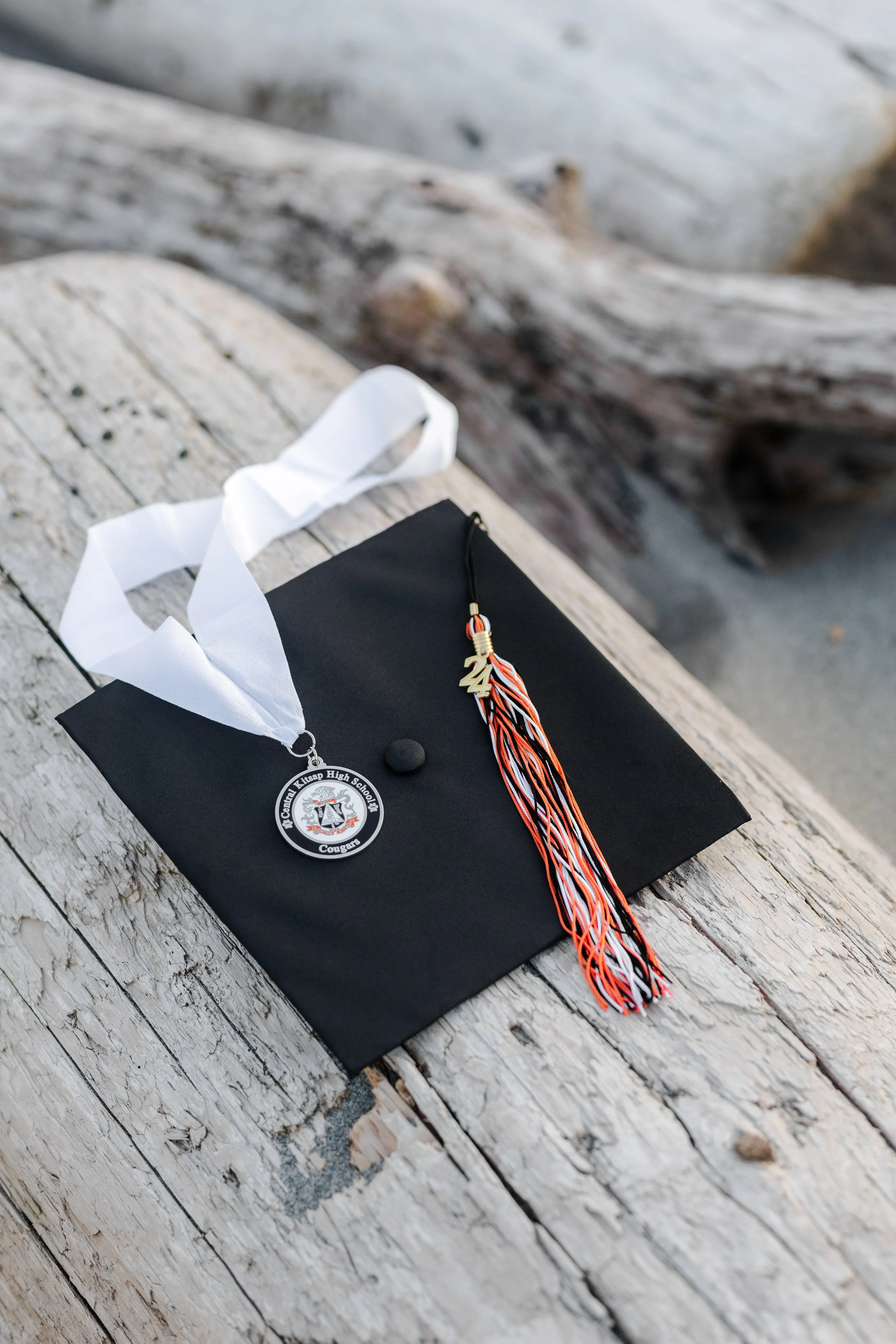 Washington graduation picture taken on driftwood at the beach
