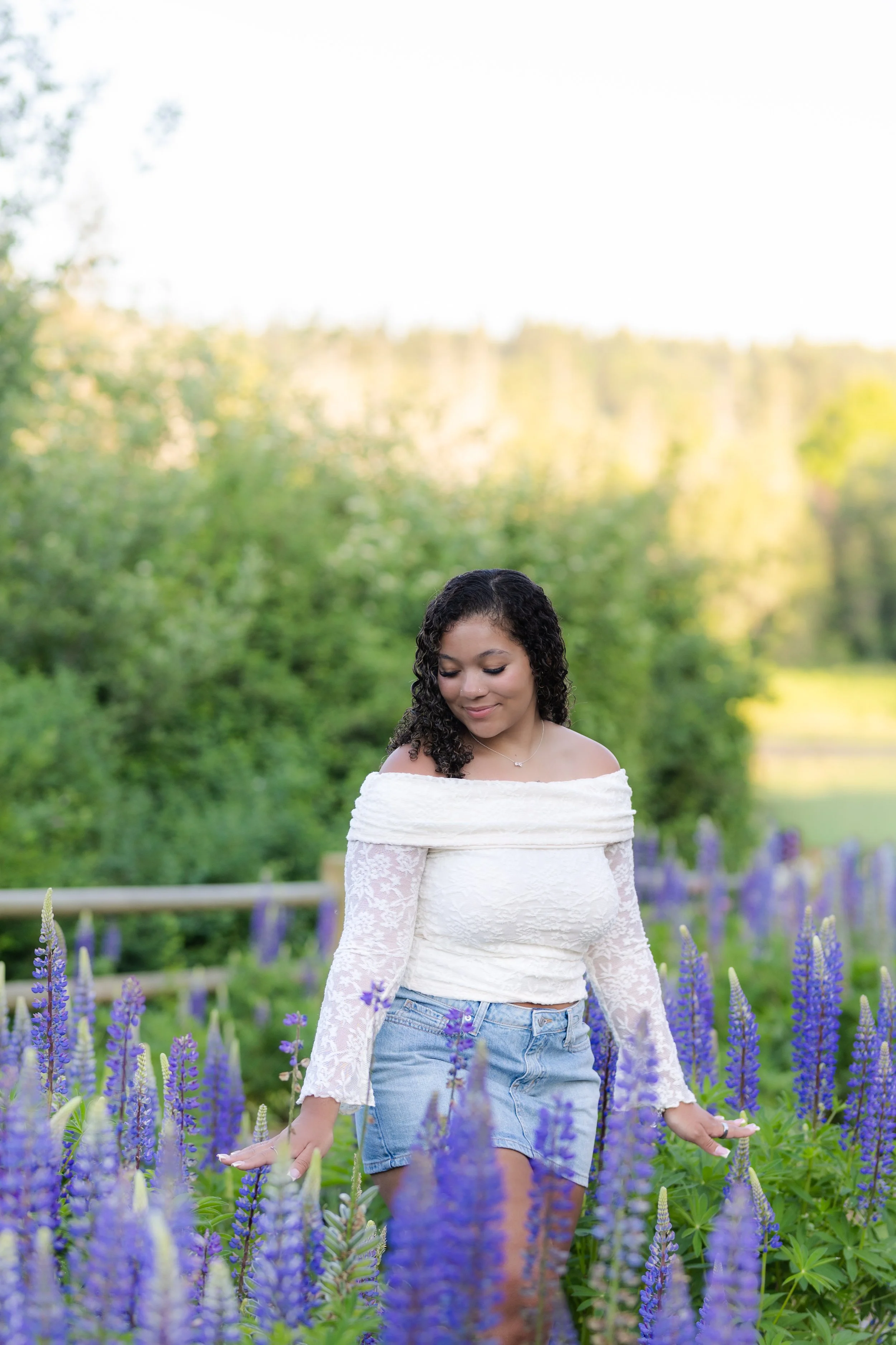 Lupine senior pictures in Washington