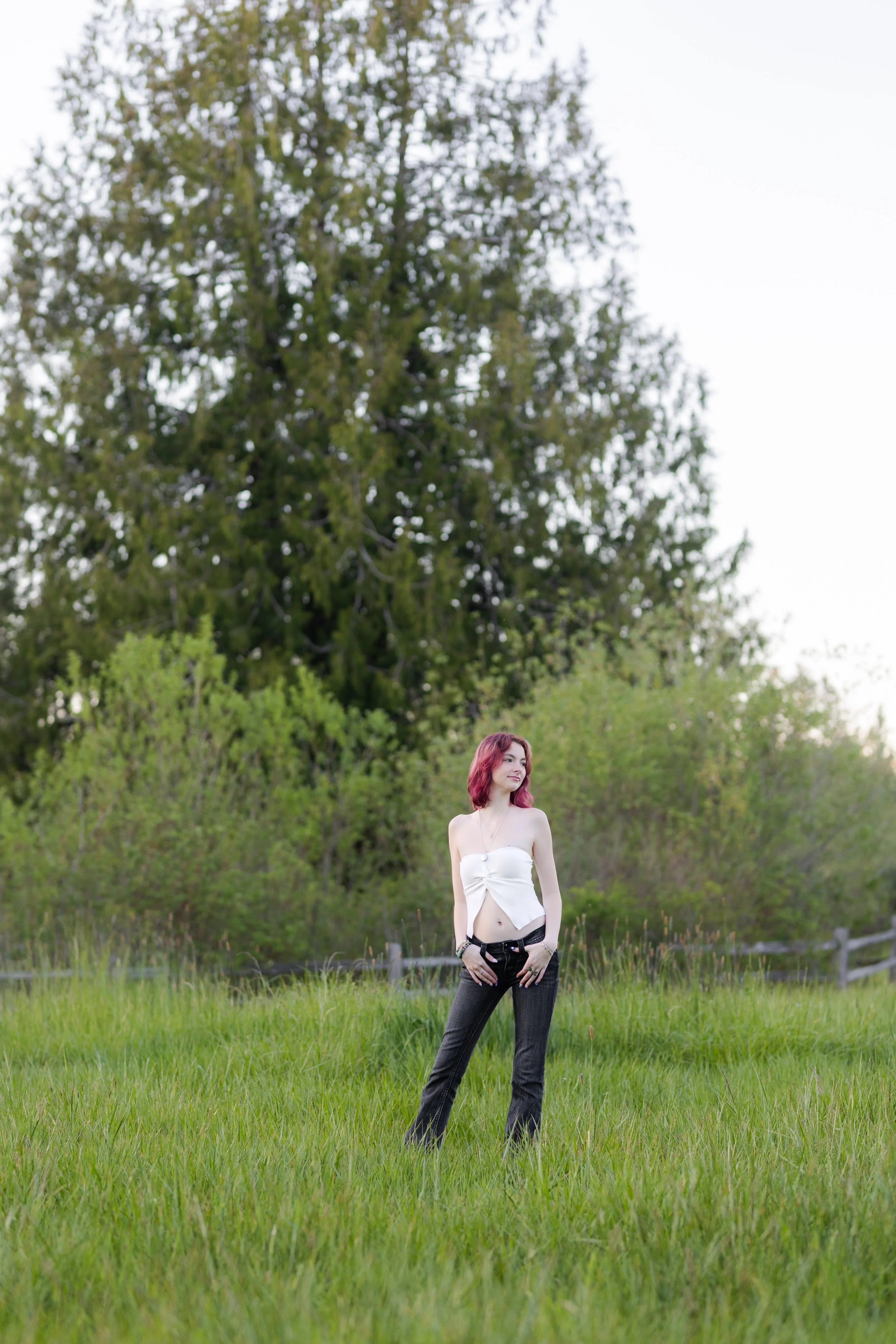 Washington senior picture of a girl with pink hair in a green grass field