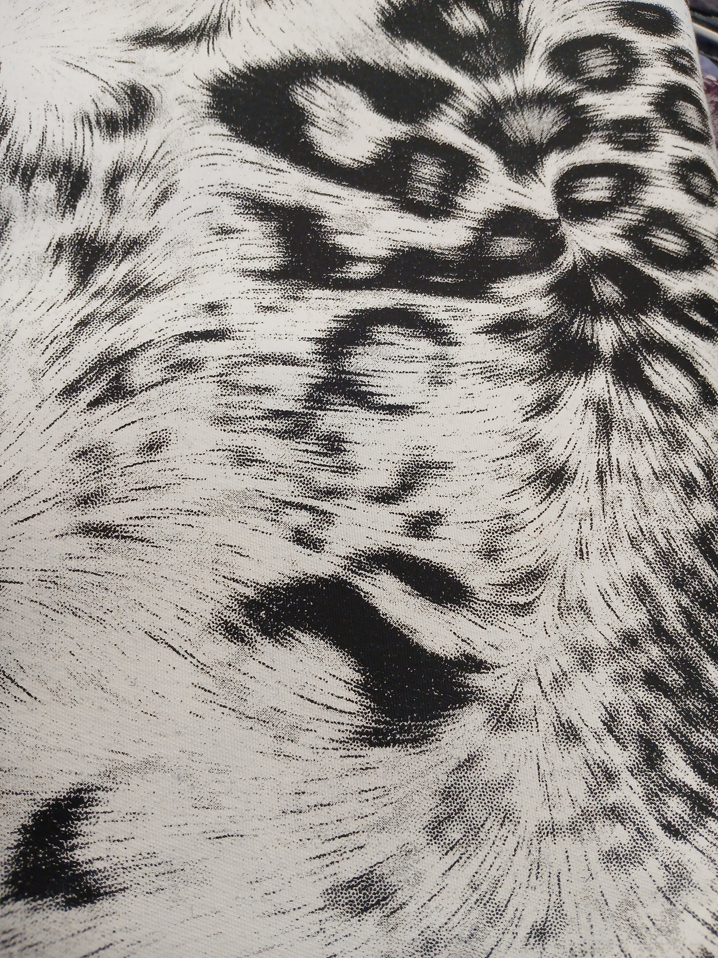 Cotton Sateen