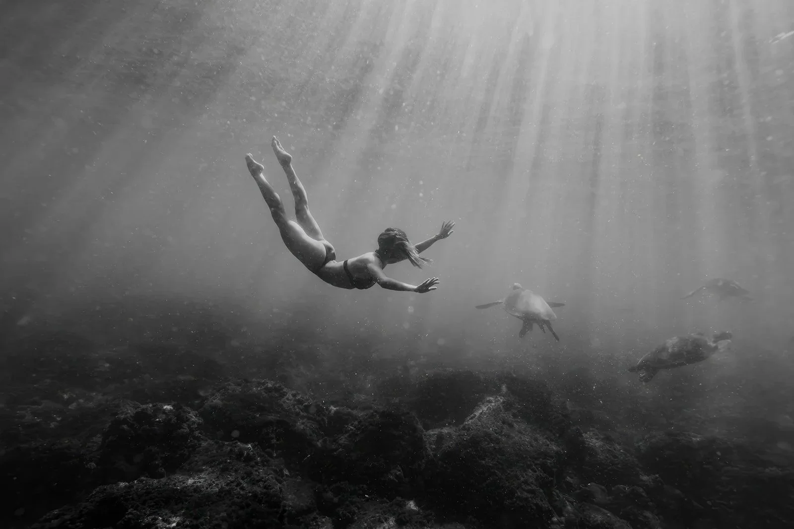 Zoe Poulis- Olympic Artistic Swimmer