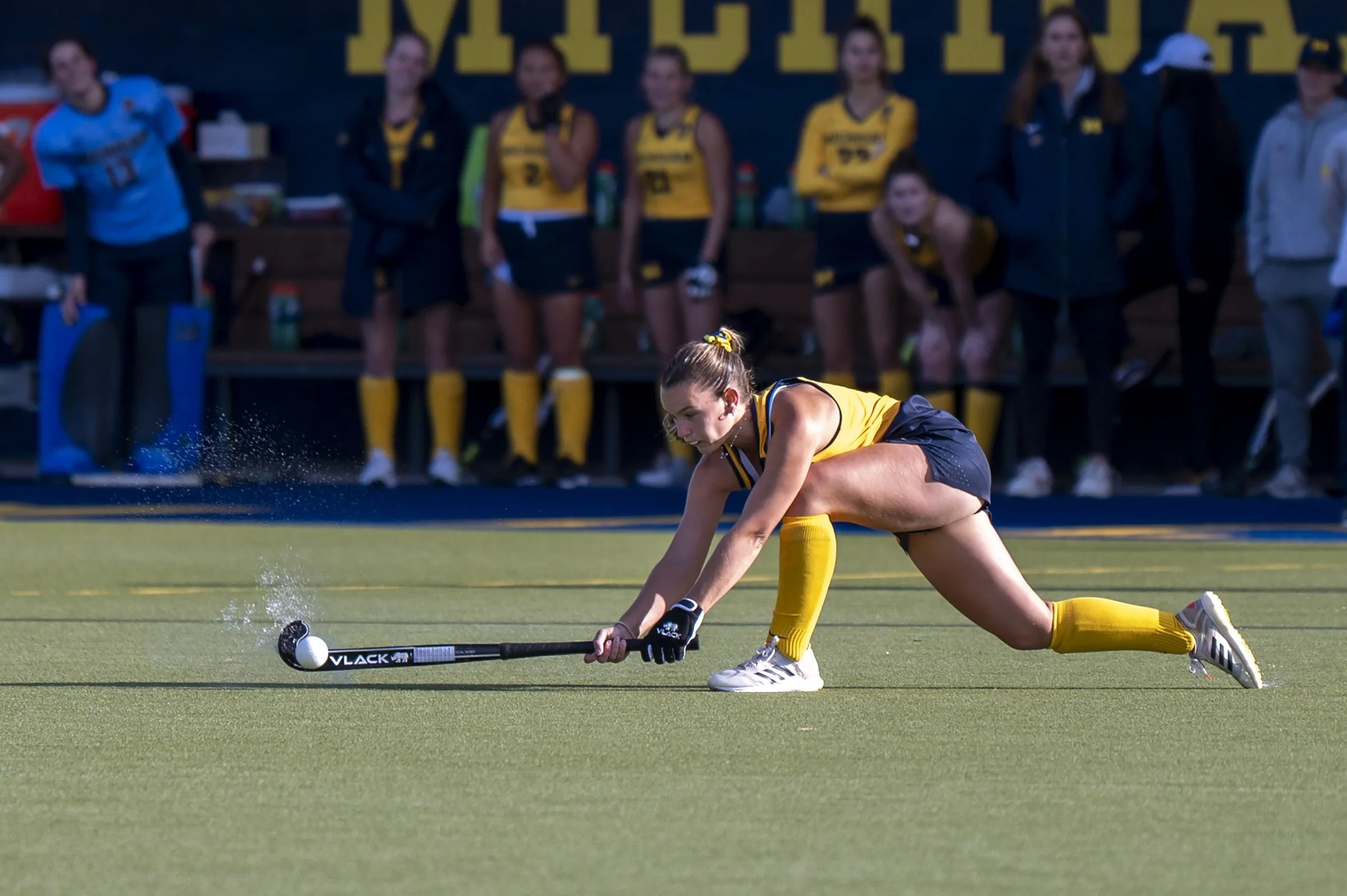 Sydney Hastings-Wilkins/The Michigan Daily