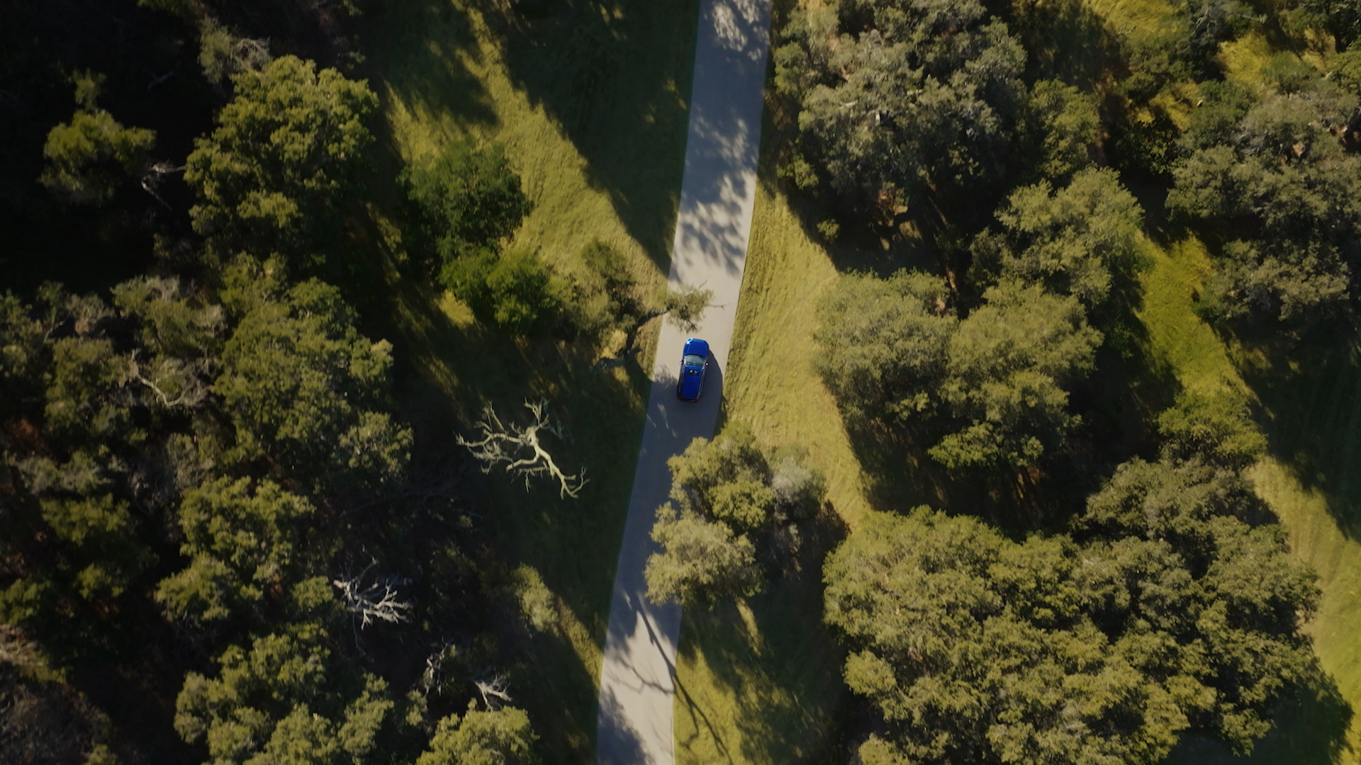 Honda_Final Video_Prores (high quality).00_00_42_09.Still049.png