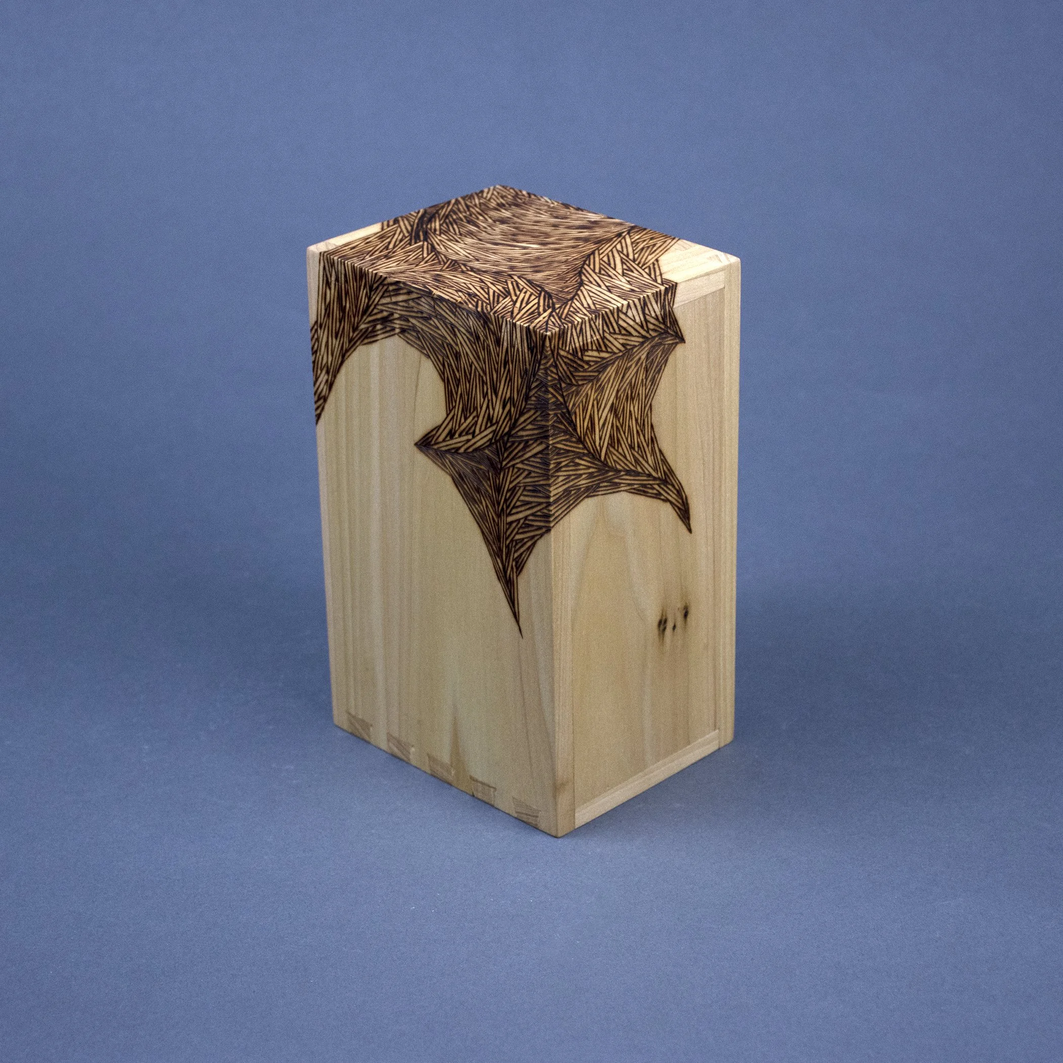box bottom long smaller.jpg