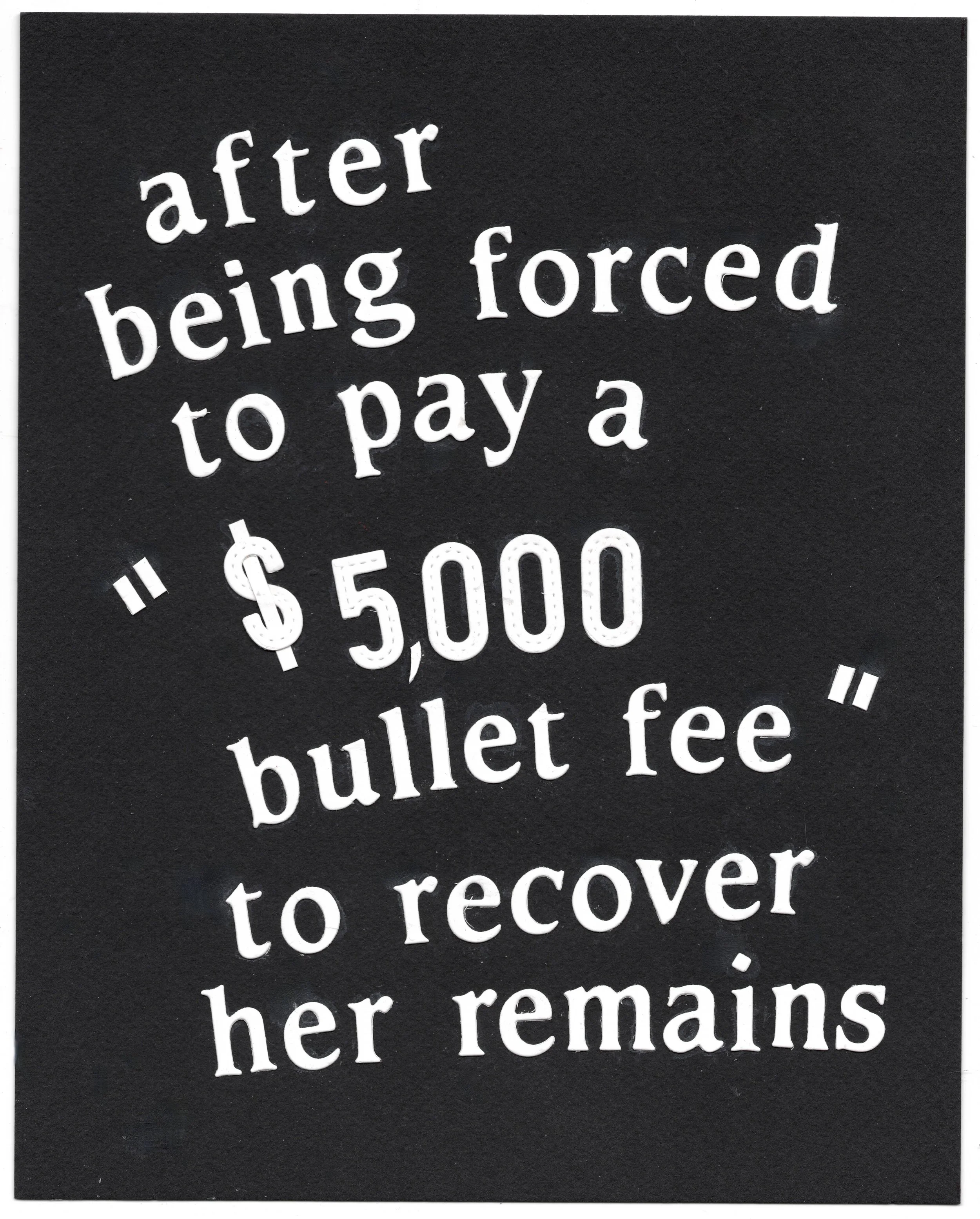 2025-2026 Iran Revolution Protest Art