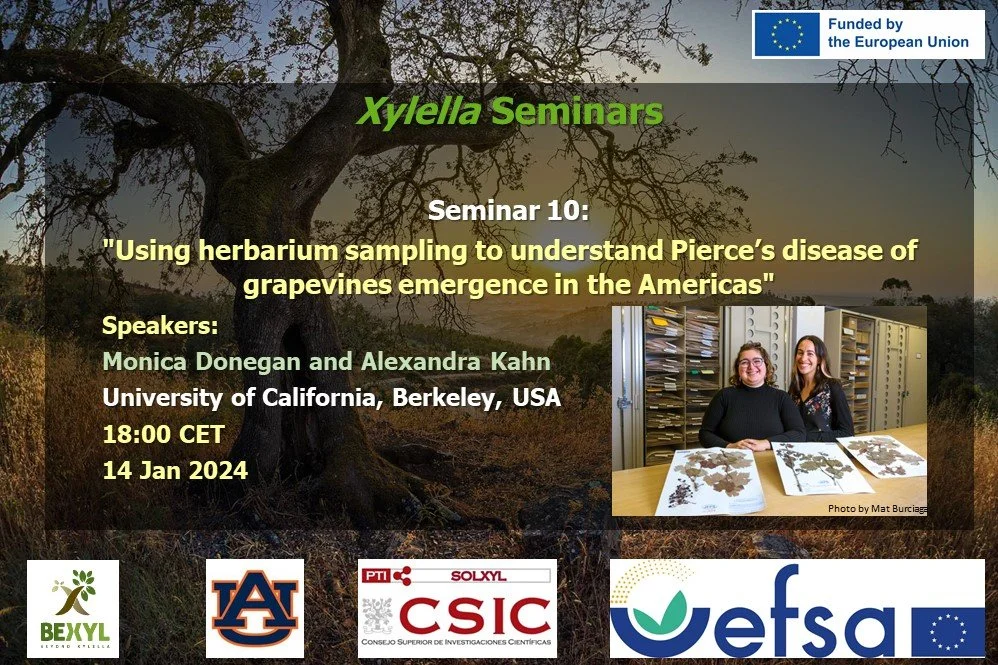 10th seminar Monica and Alexandra.jpg