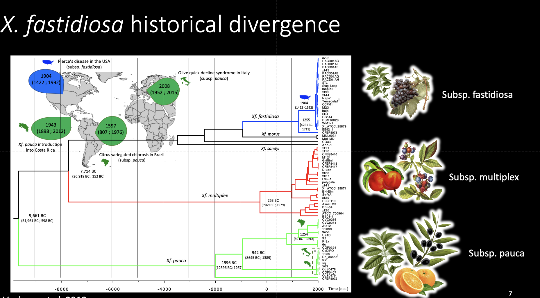 Screenshot 2024-02-05 at 1.01.34 PM.png