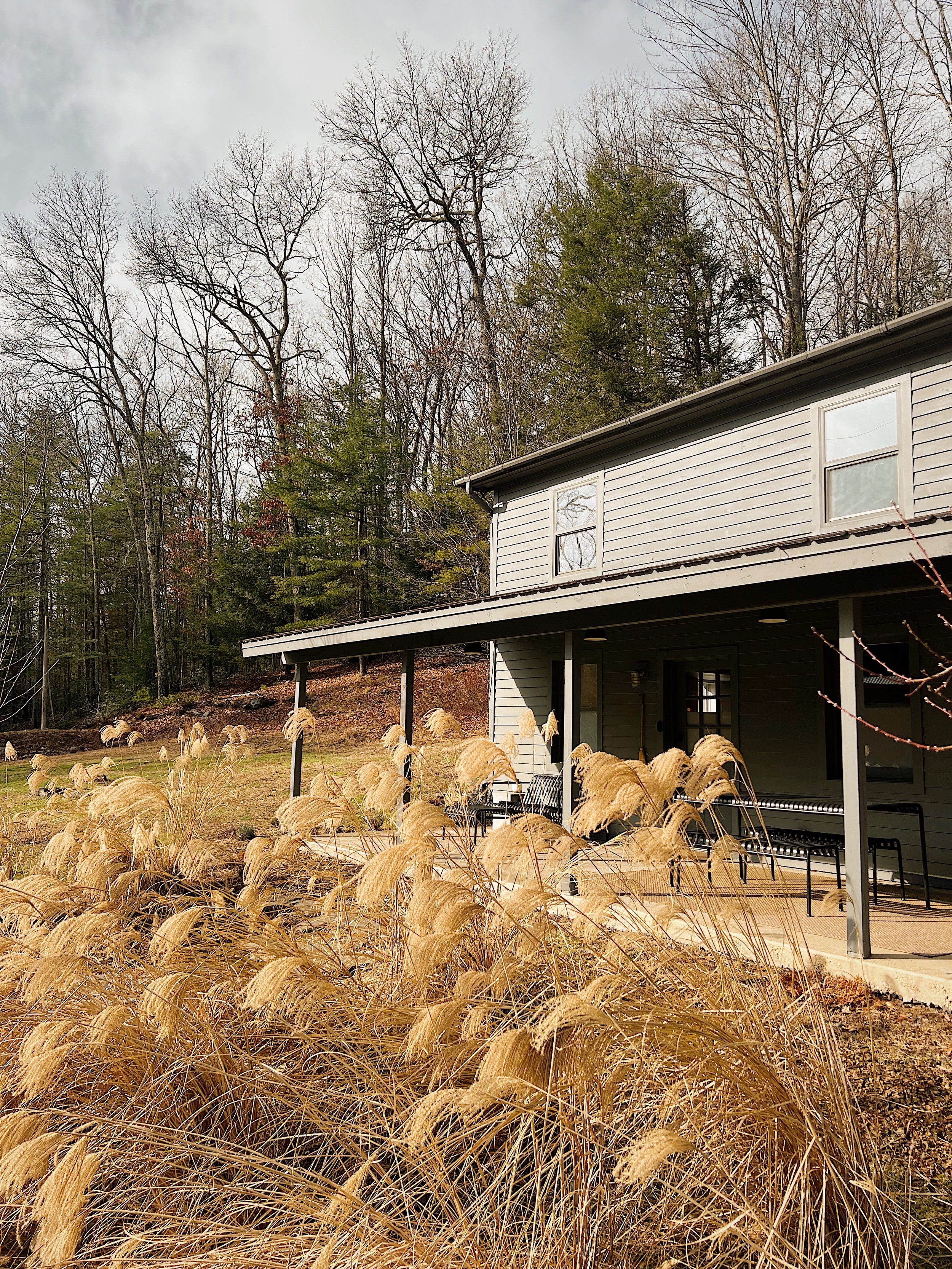 A gray two-story house with a covered porch, surrounded by dry ornamental grasses and bare trees in a wooded area.