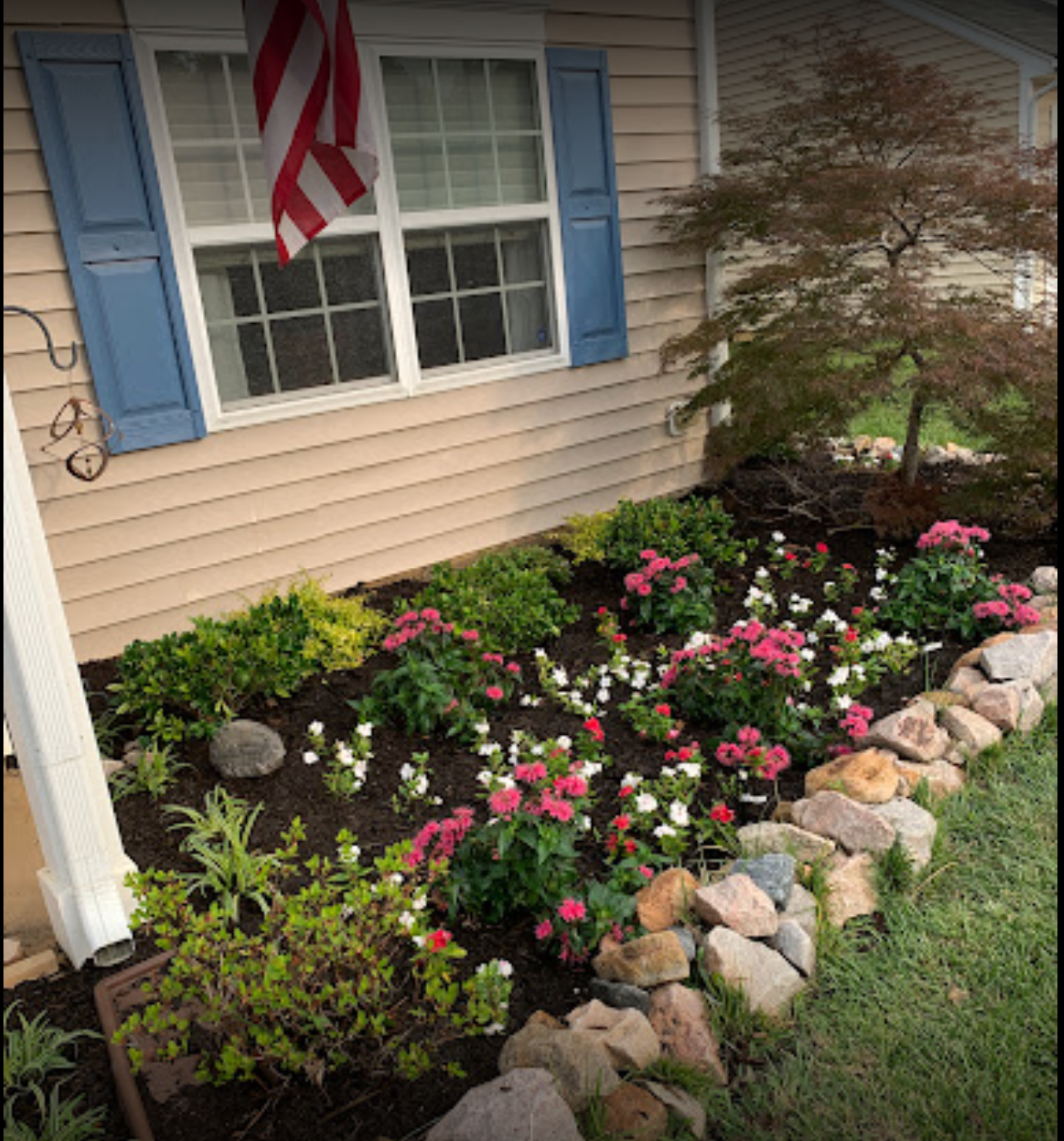 Front yard garden with flowers, small tree, rock border, beige siding house with blue shutters, American flag.