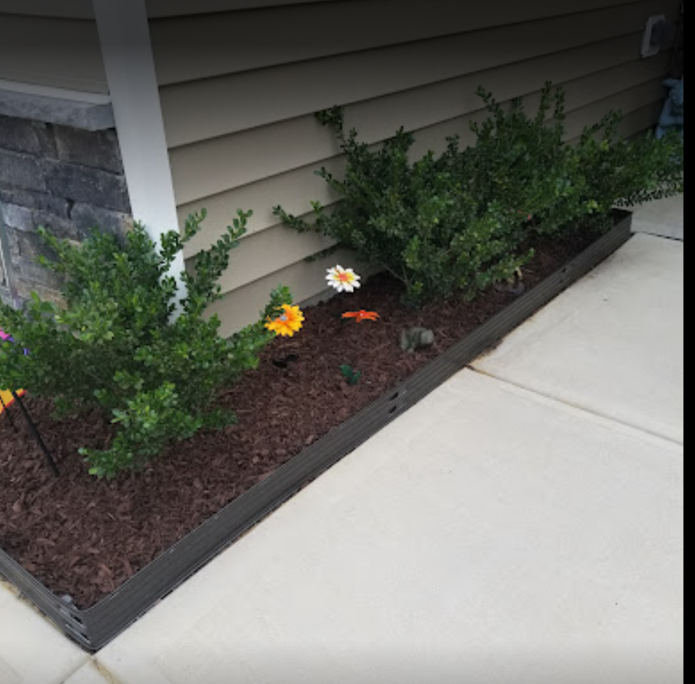 Flower bed with green shrubs and decorative flowers next to house siding and concrete walkway.