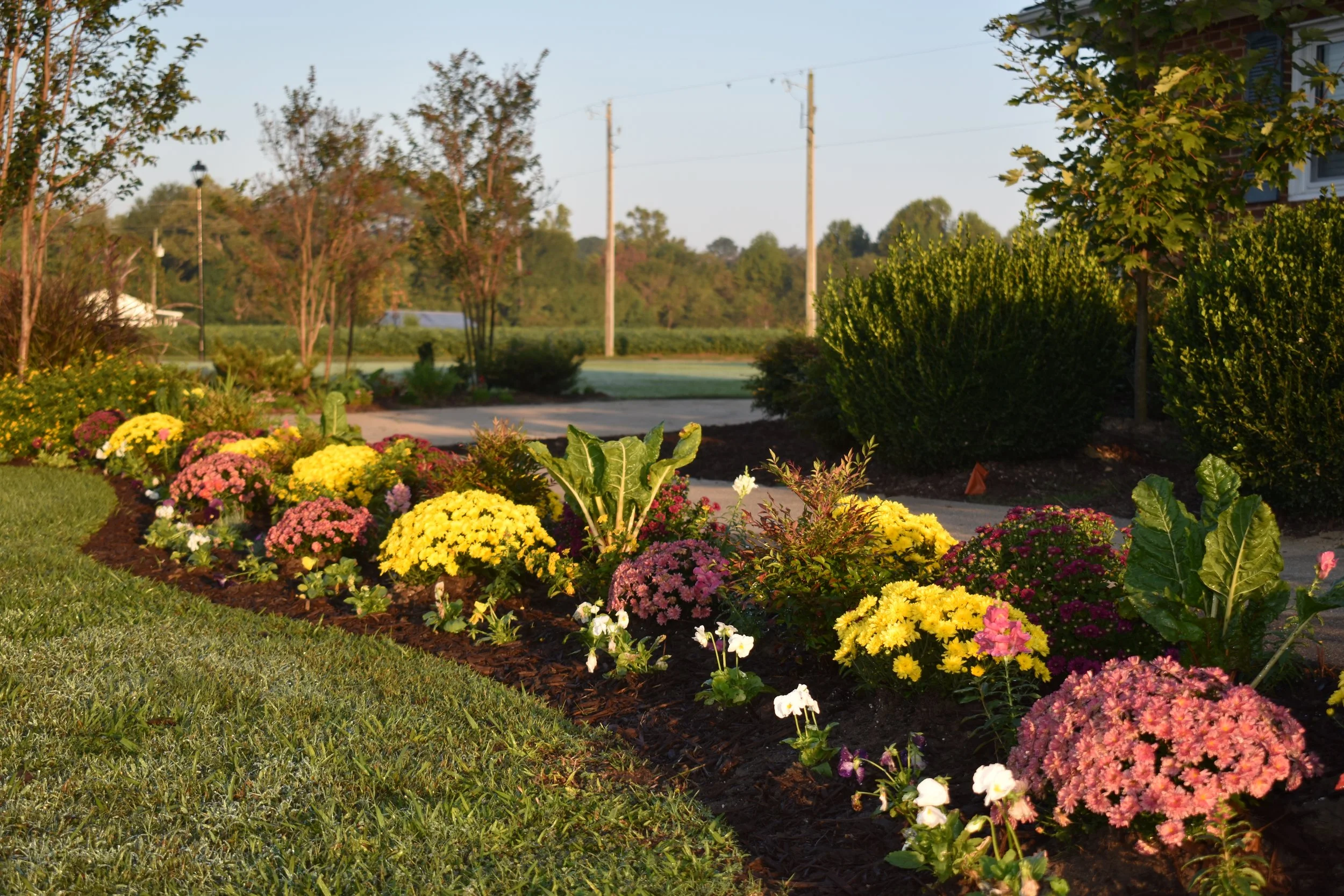 Fall Install Planting.JPG
