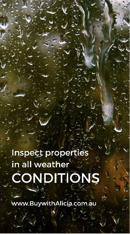View Homes in All Weather Conditions