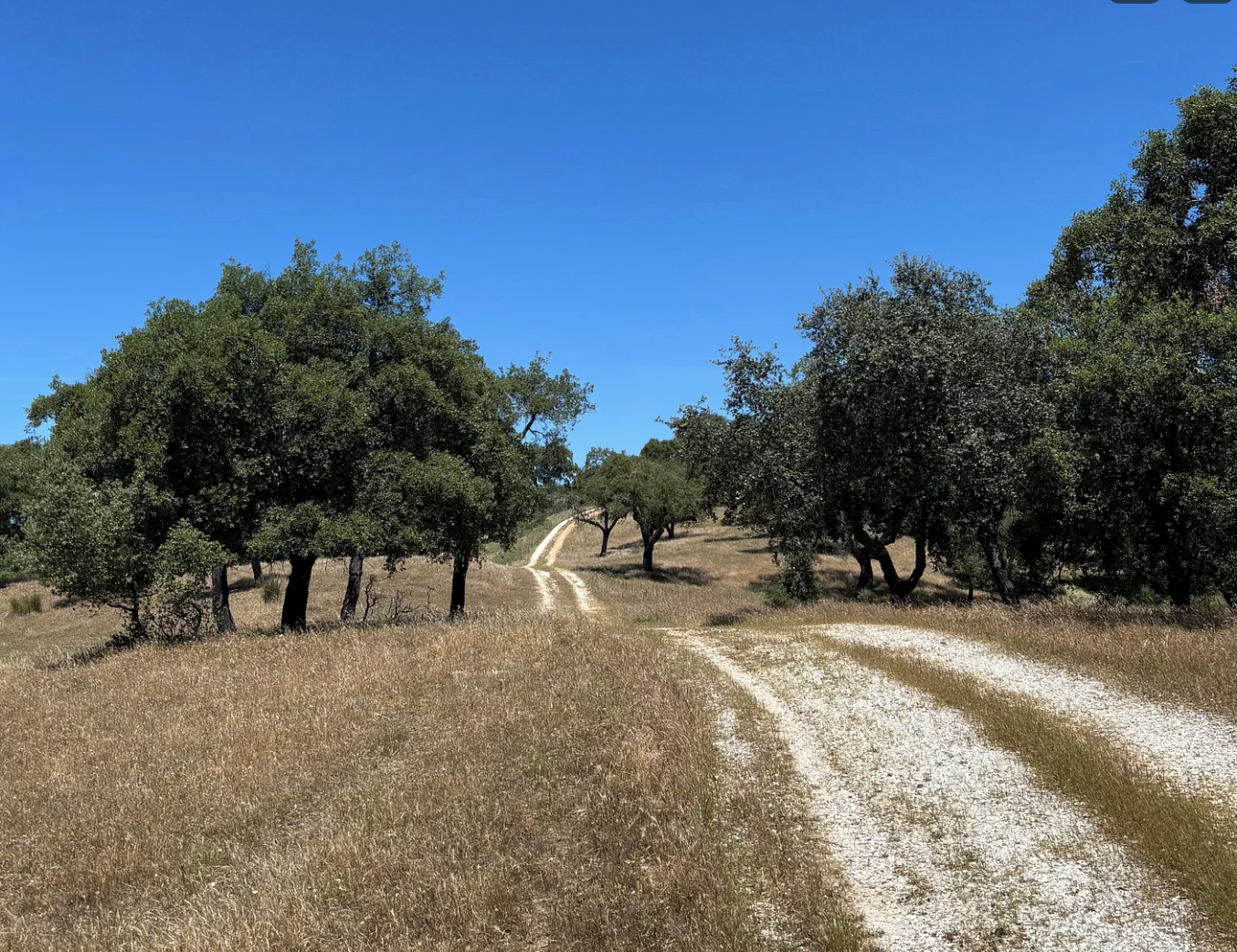 Ghosts On the Path 