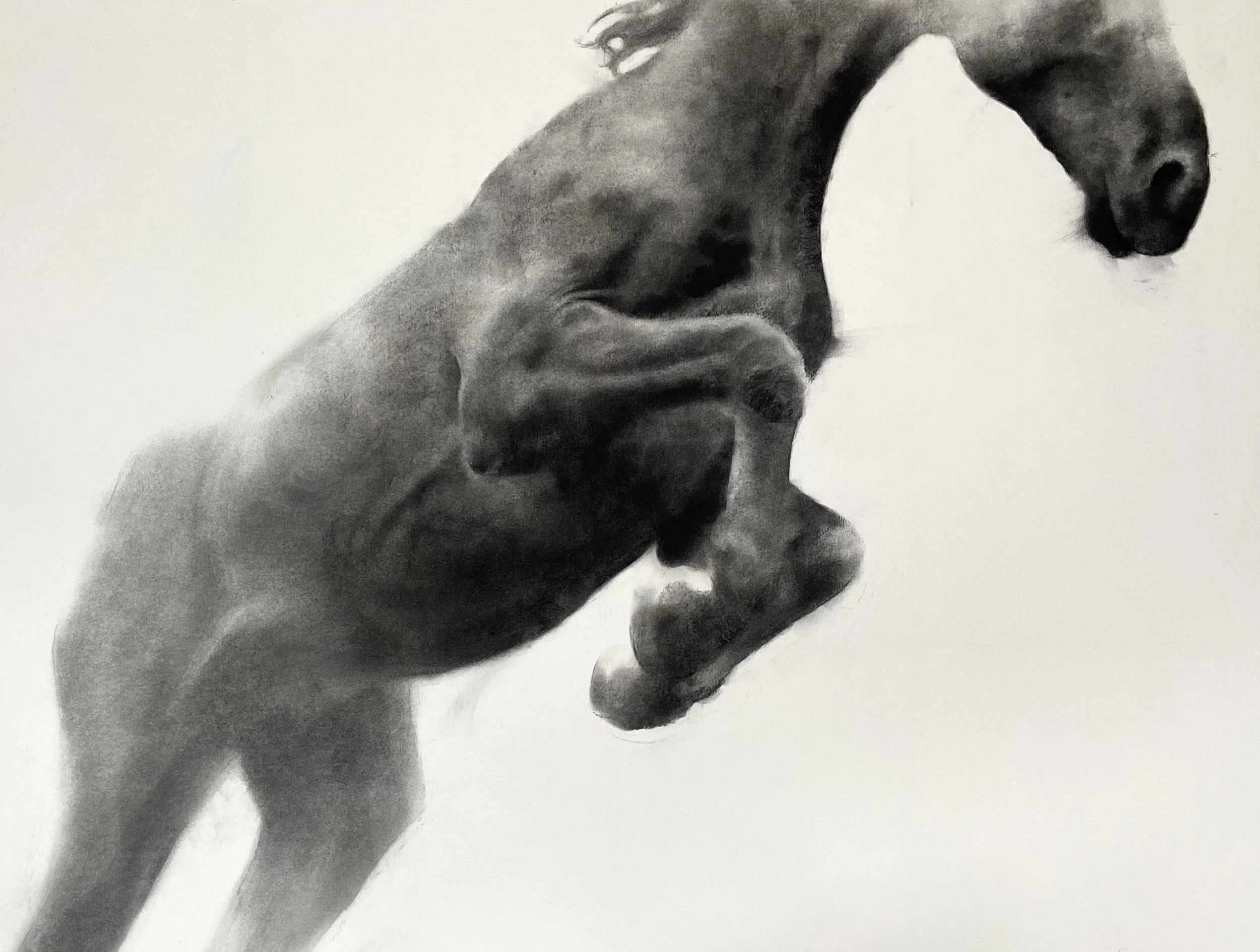  The Way Through 
 90cm x 110cm, graphite and charcoal on paper 
 2022 
