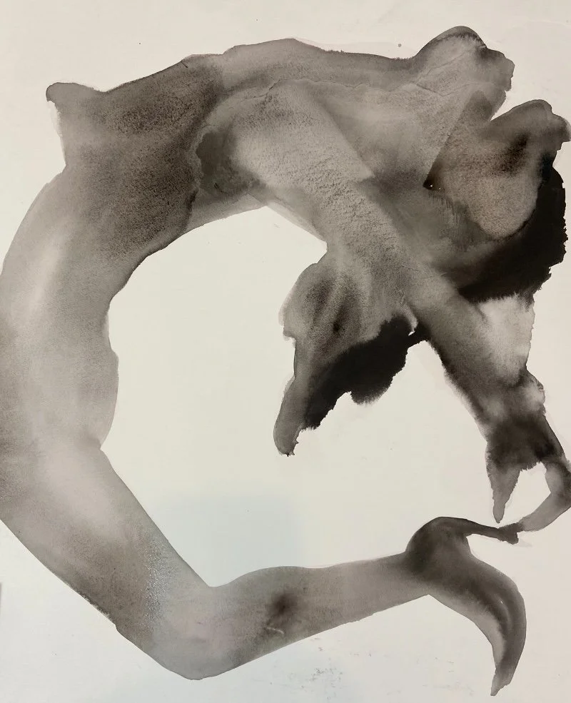  Fail We May 
 50cm x 40cm, ink on paper 
 2025 