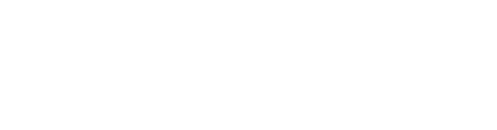 G U S S D E