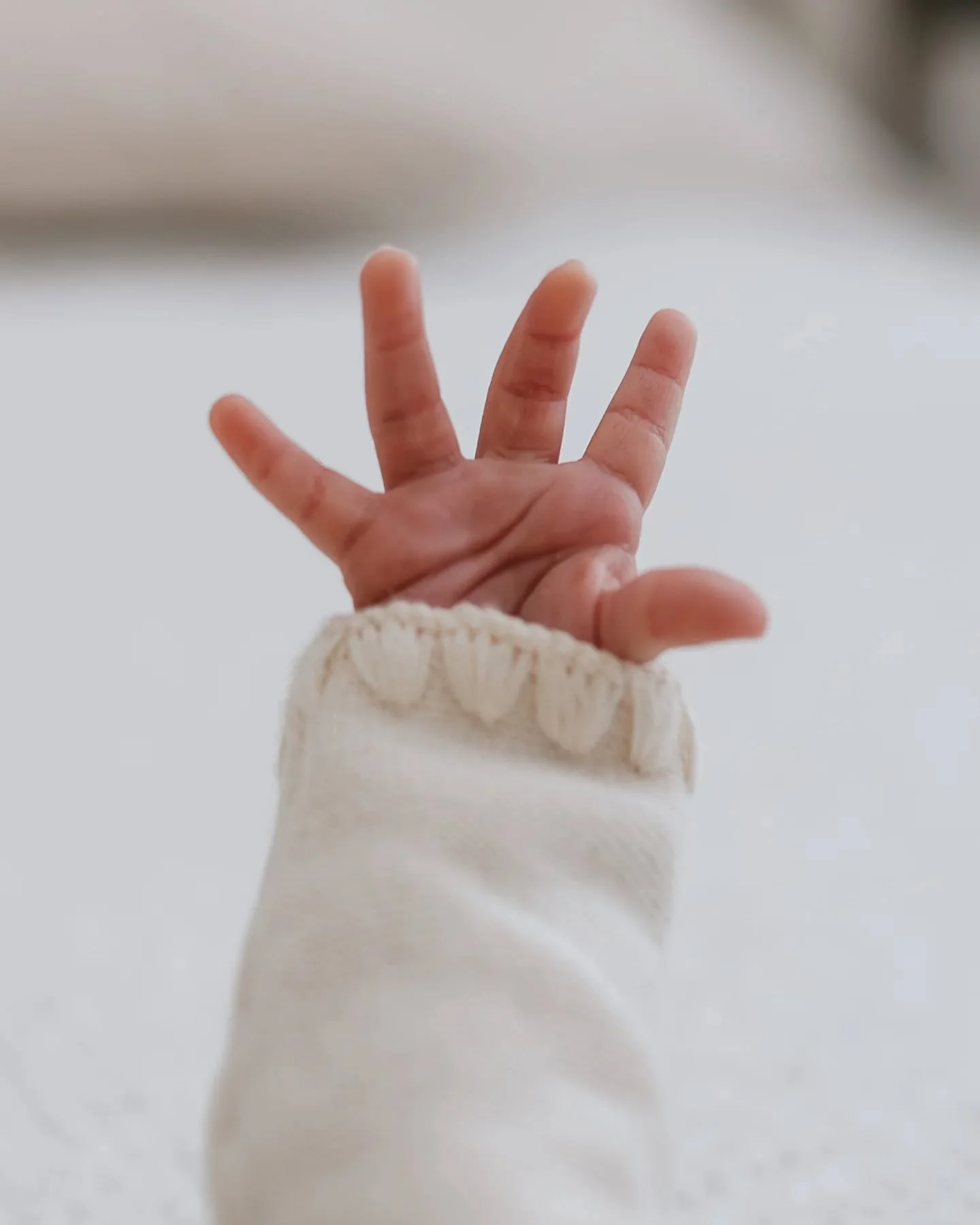 Every newborn session with a toddler sibling is so special and has its own lovely rhythm &ndash; moments of calm followed by bursts of giggles and high energy.

I love to document the newborn days in all their wonder &ndash; the cosy cuddles, the pro