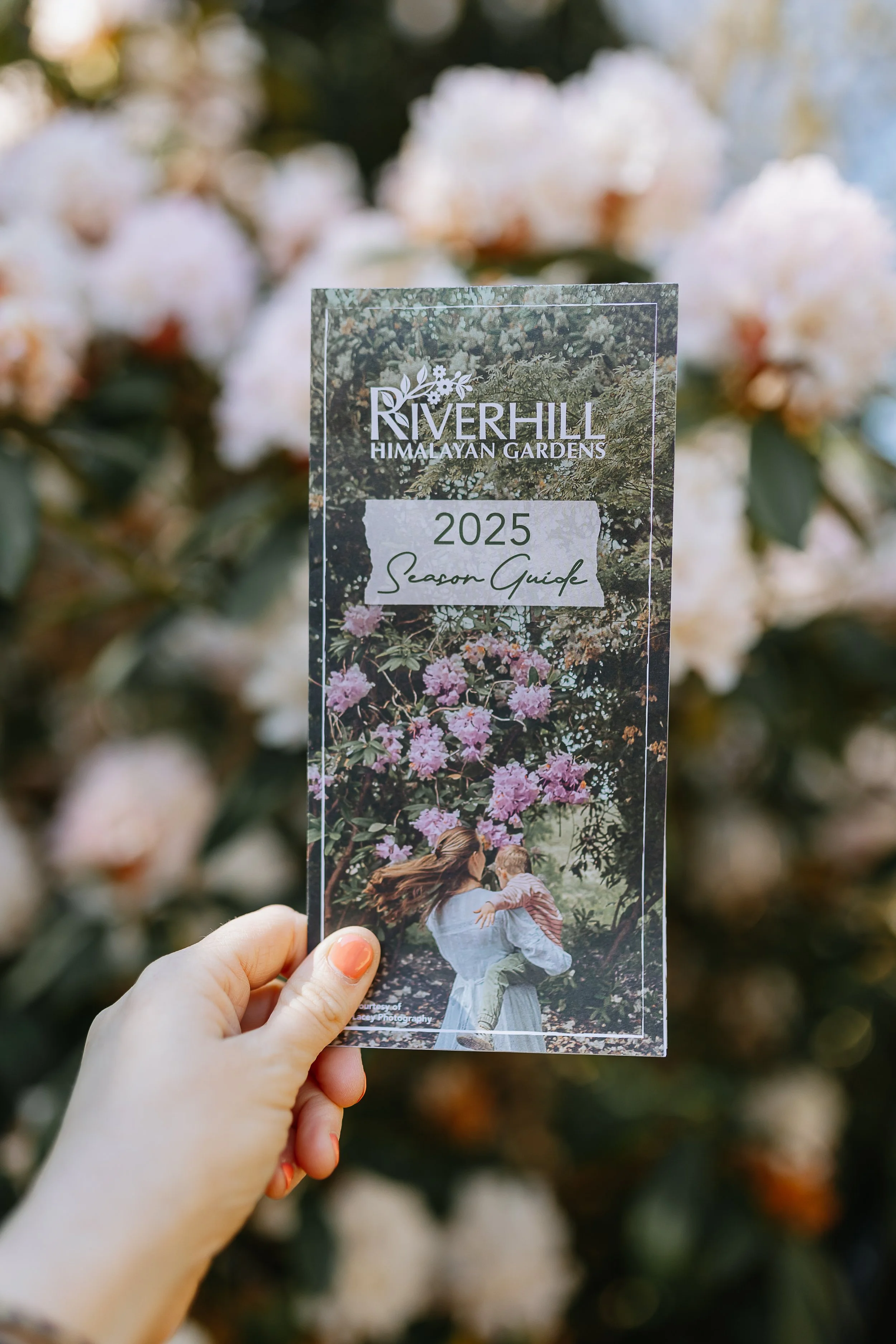 2025 Riverhill Spring Claire Lacey Photography-3043-2.jpg