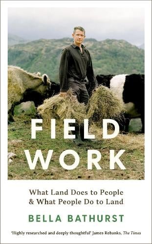 Field Work cover image.jpg