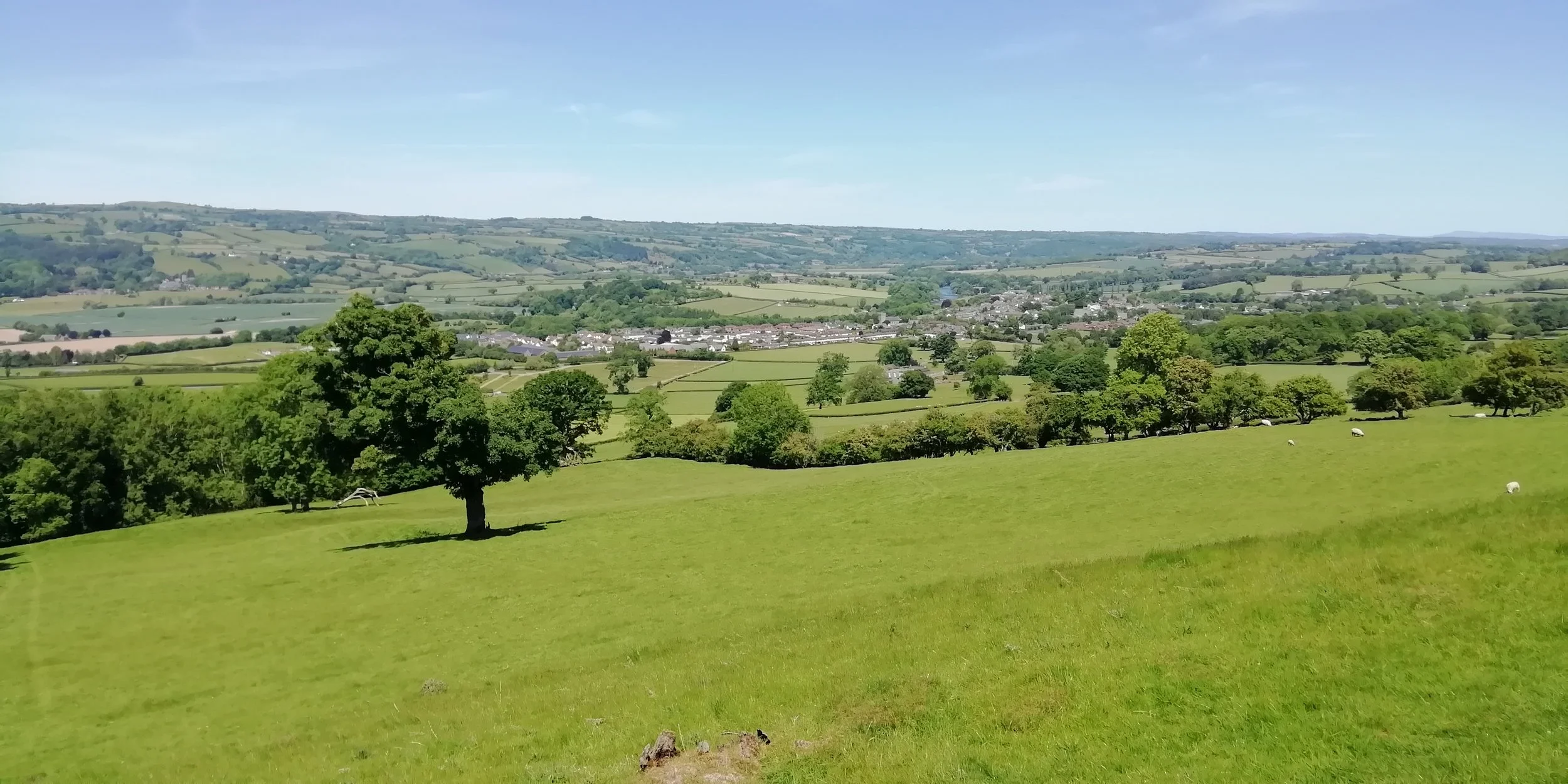 View-over-Hay_2020.jpg