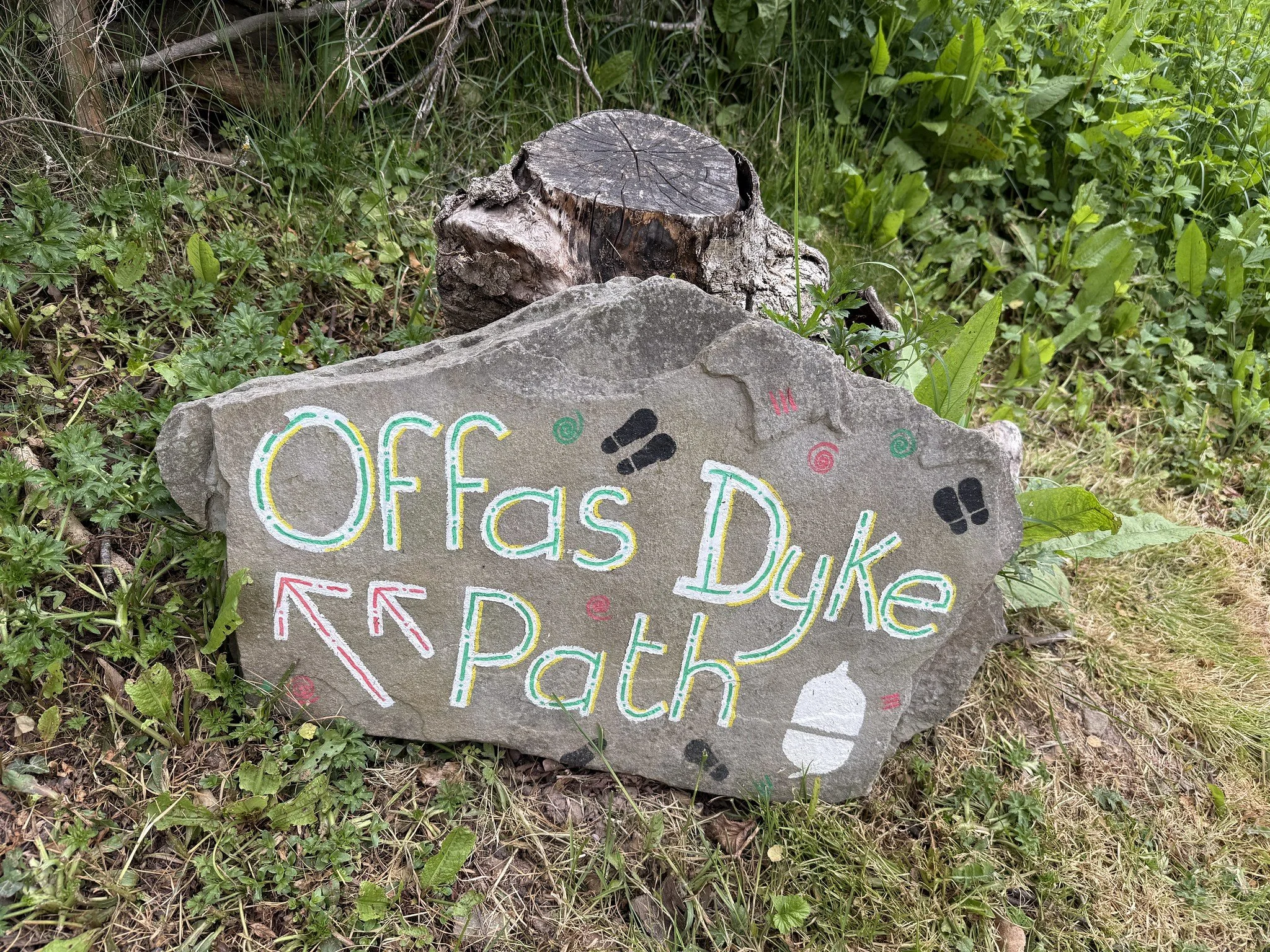 TWF2026-341 Offa's Dyke - Hay to Kington (4 Boot, Sunday)