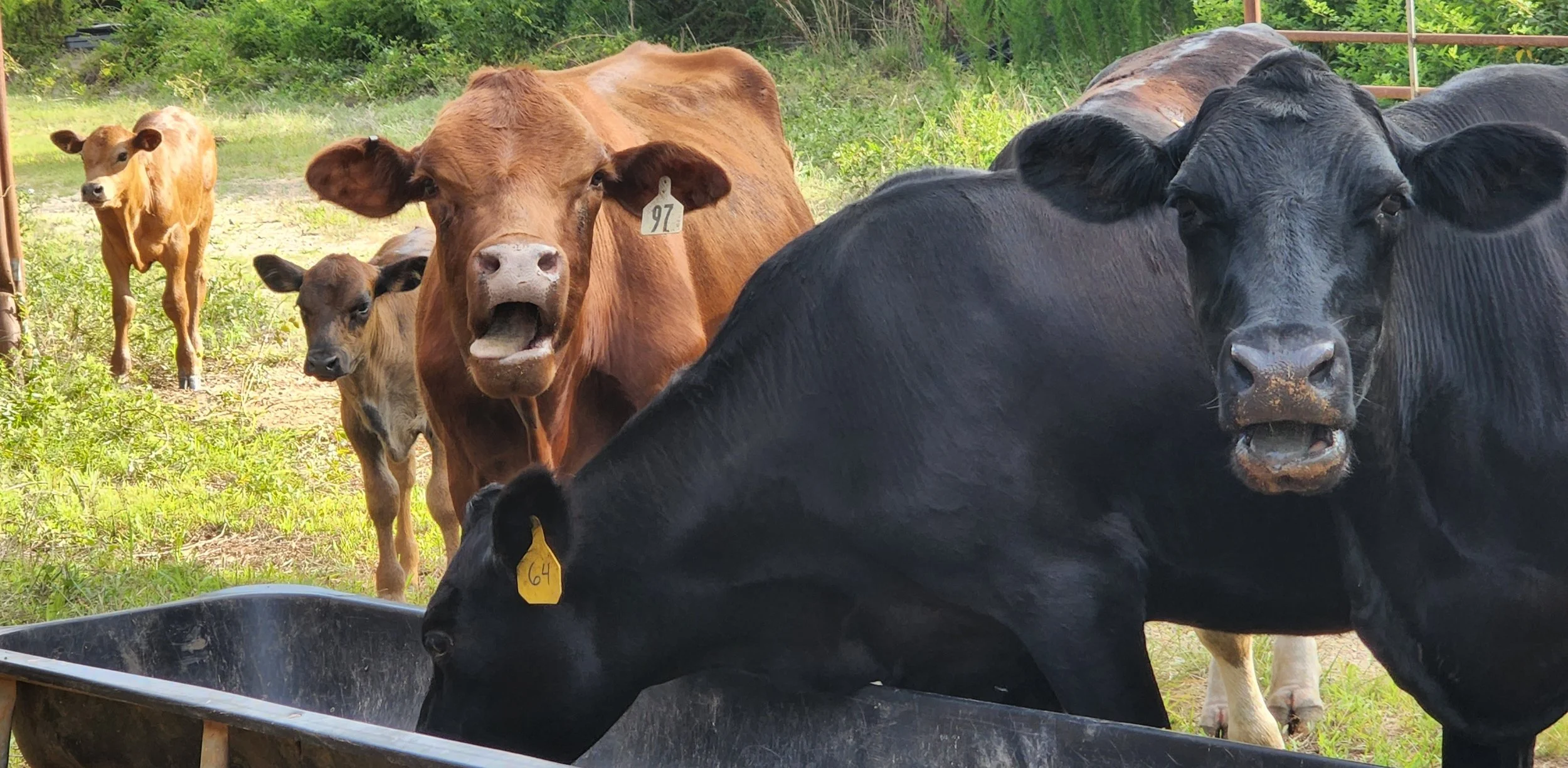 Small Farm Conference