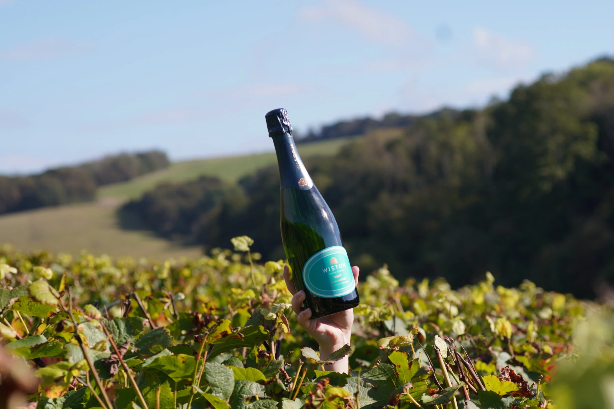 Wiston bottle and vineyards.jpg