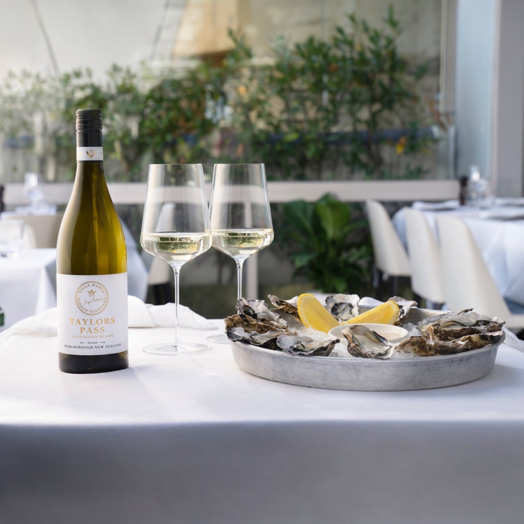 Villa+Maria+Single+Vineyard+Taylors+Pass+Sauvignon+Blanc+-+oysetrs.jpg