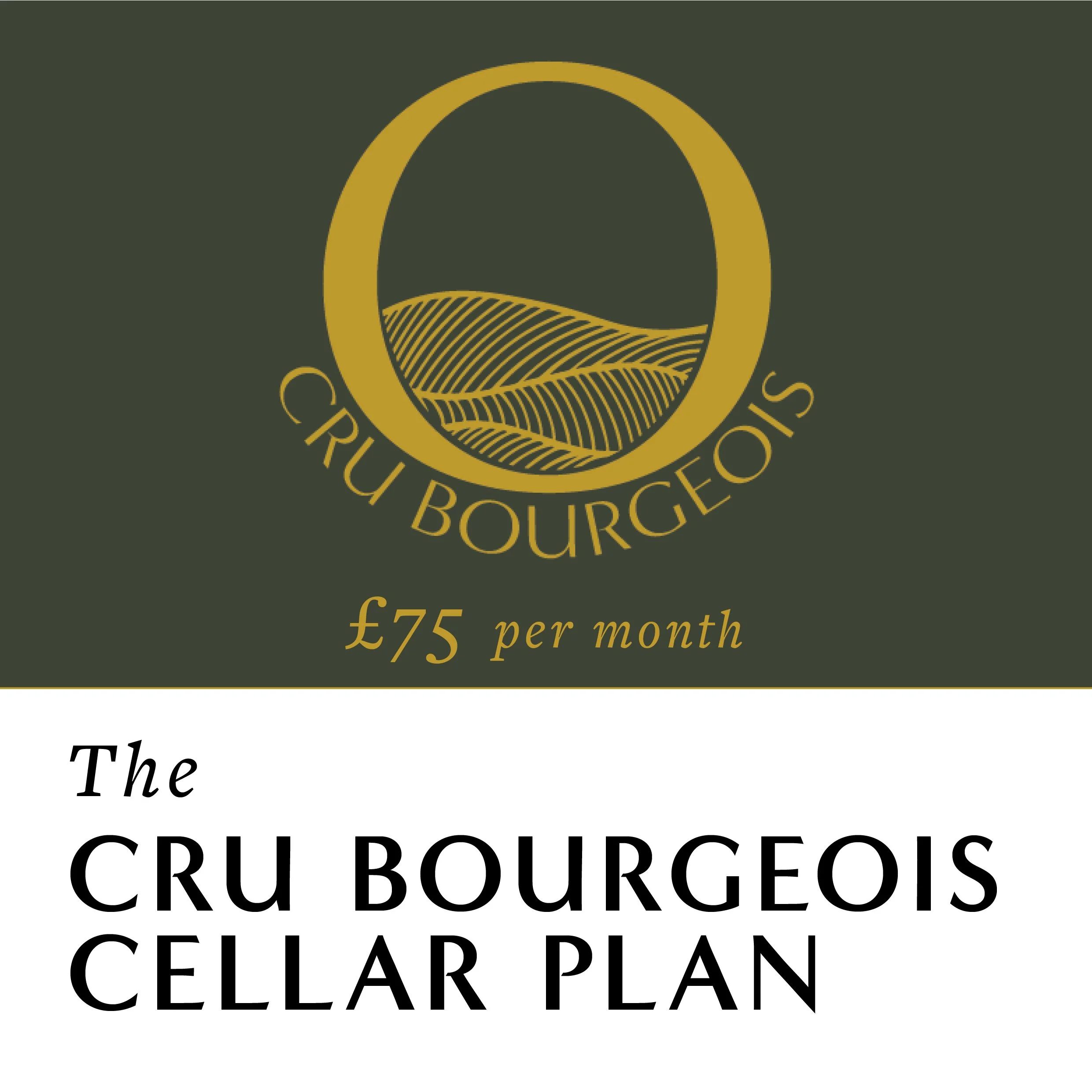 Clos Cellar Plan - WEBSITE IMAGES.jpg