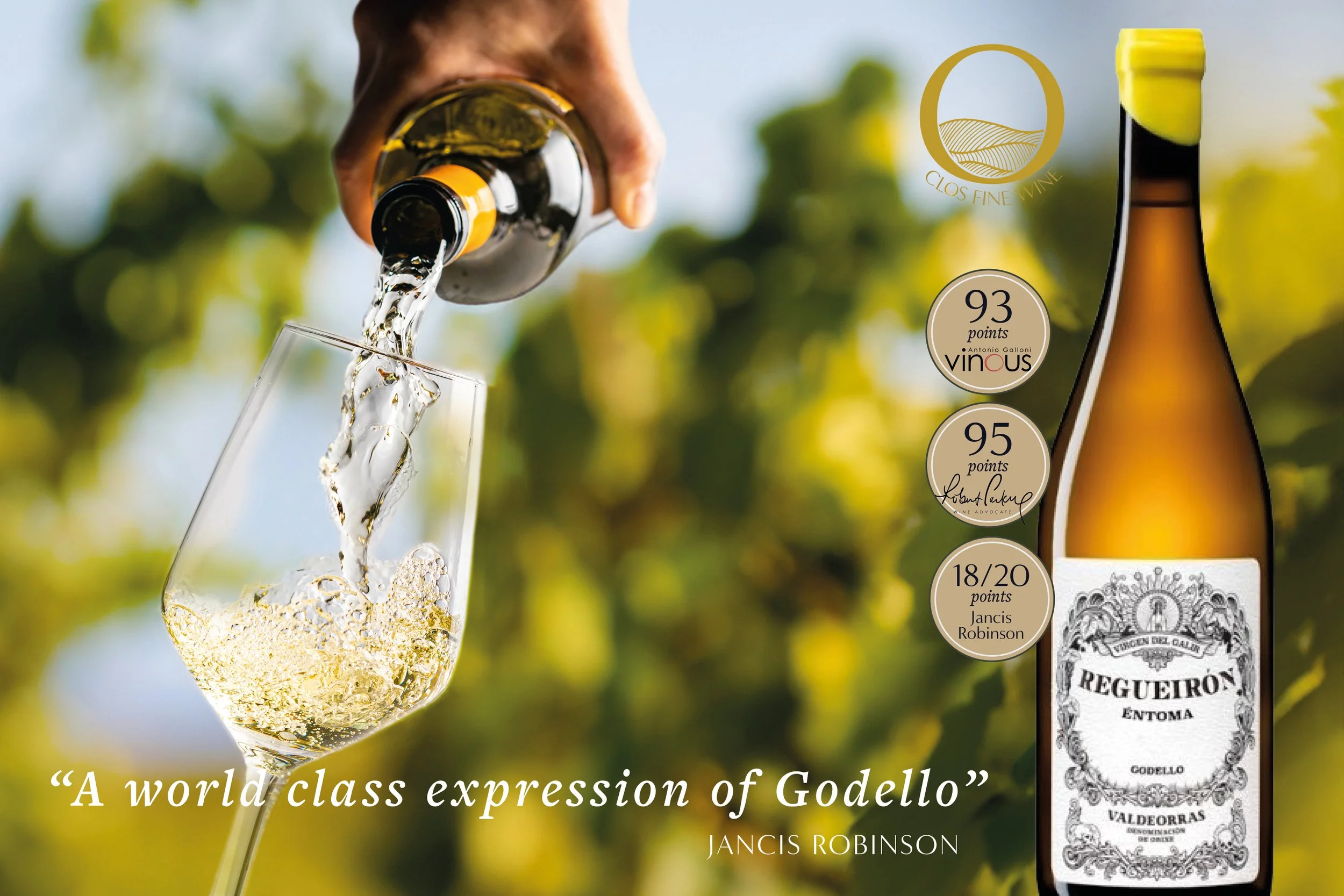 Reguiron Godello 2023 banner.jpg