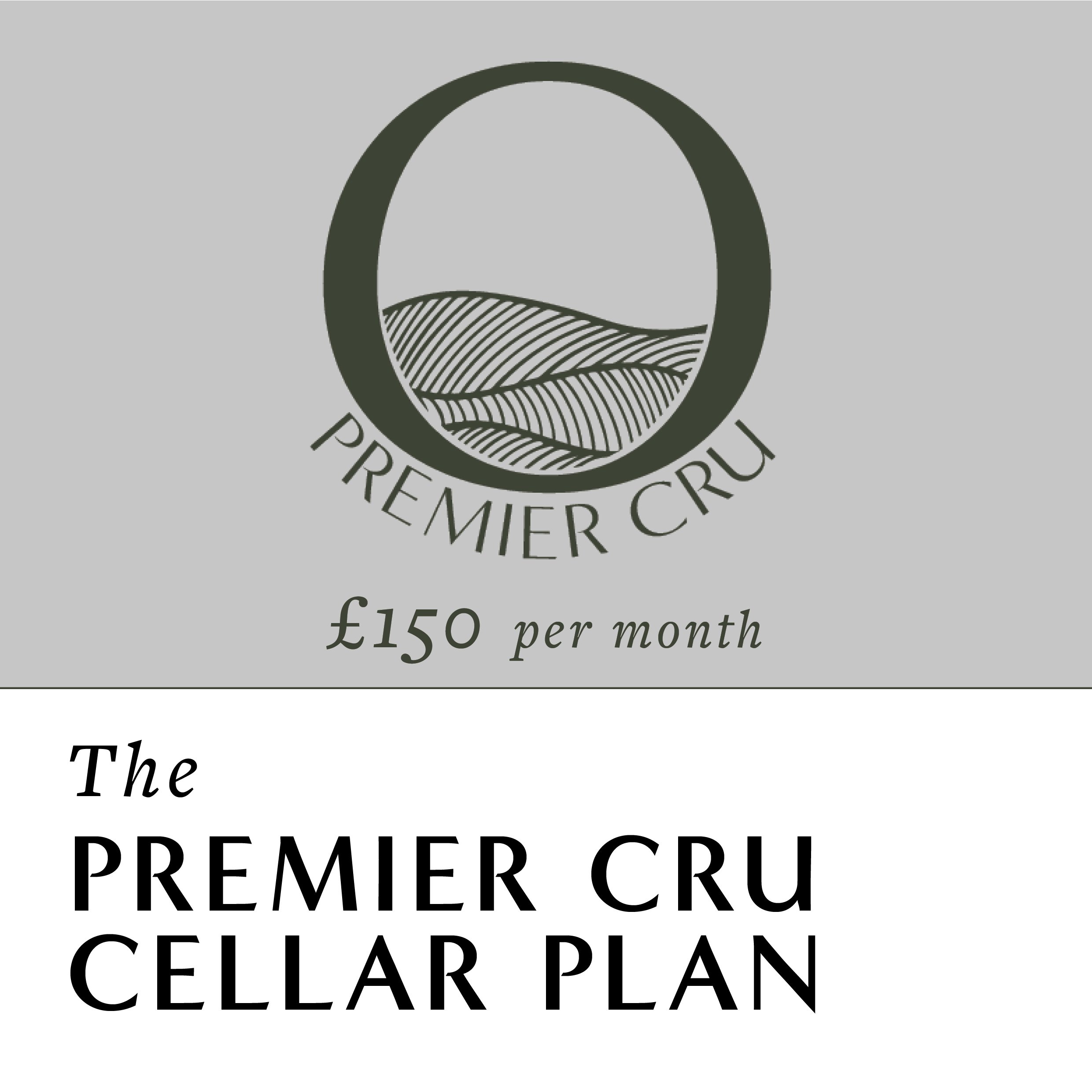 Clos Cellar Plan - WEBSITE IMAGES2.jpg