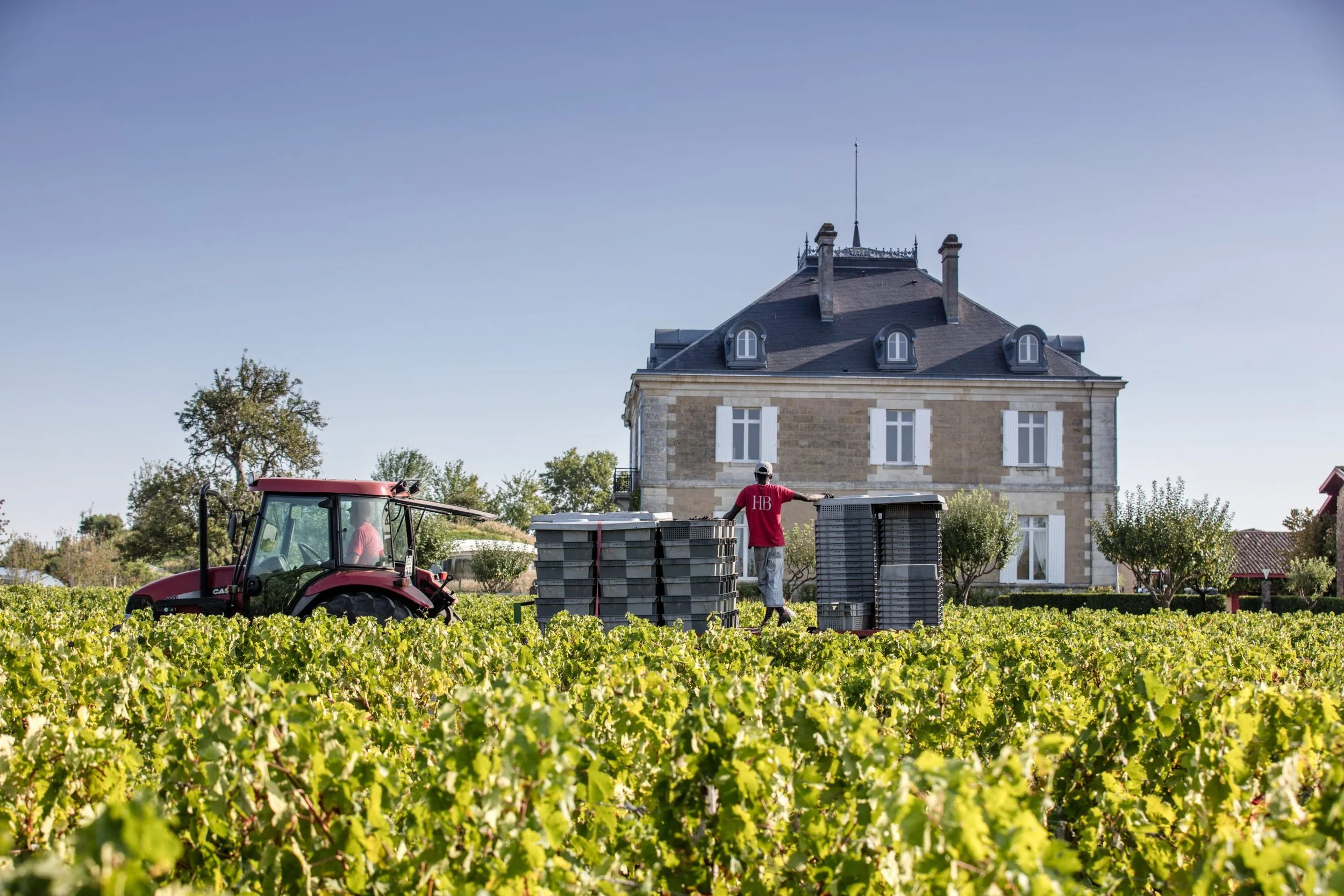 Haut Bailly dinner image 2.jpg
