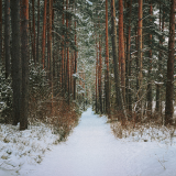 winter.png