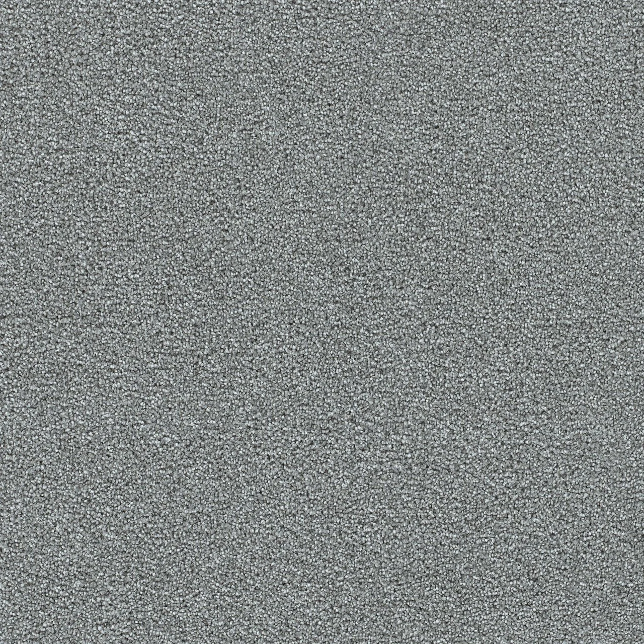 moon.jpg