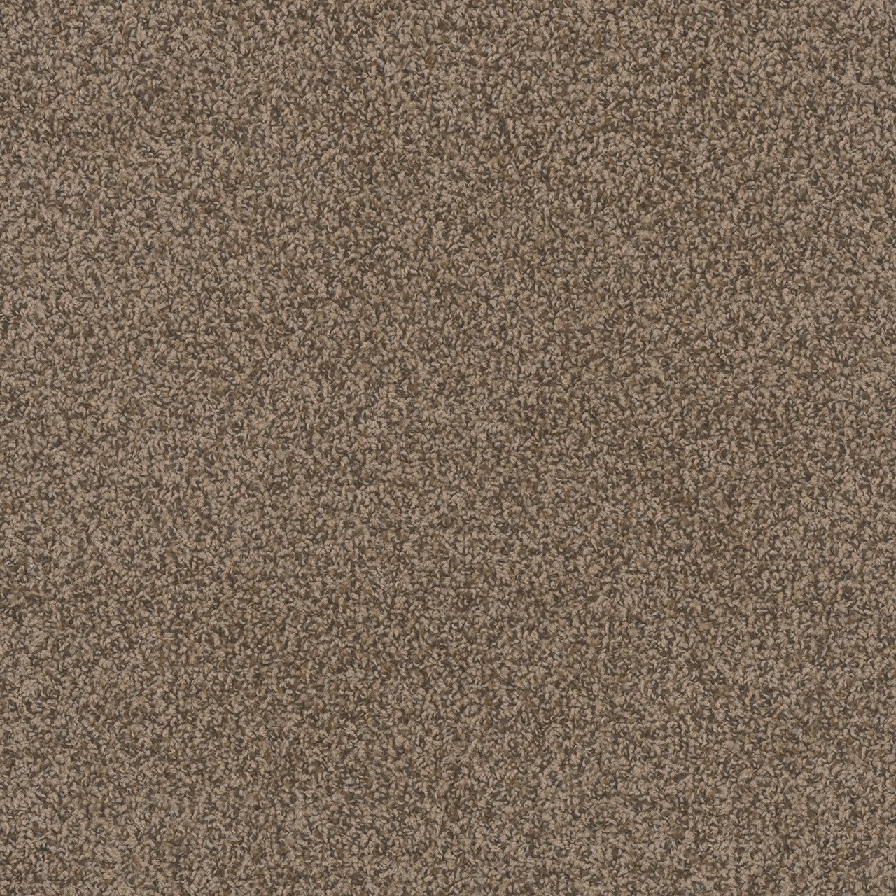 PB AGATE SWATCH.jpeg