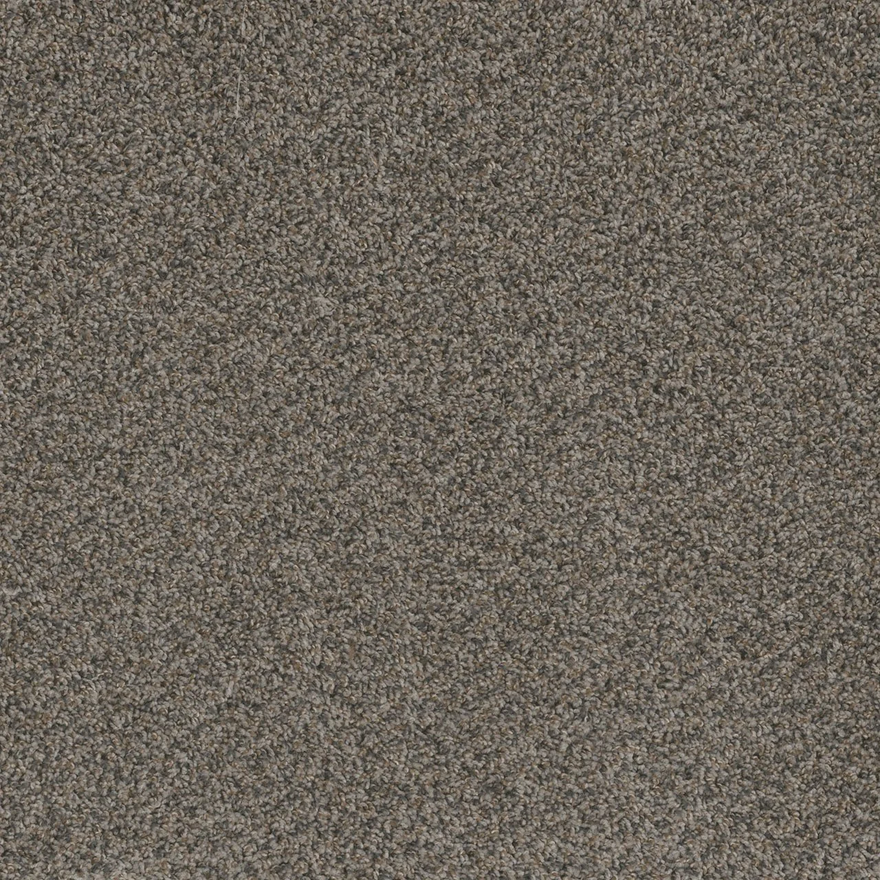 carbon.jpg