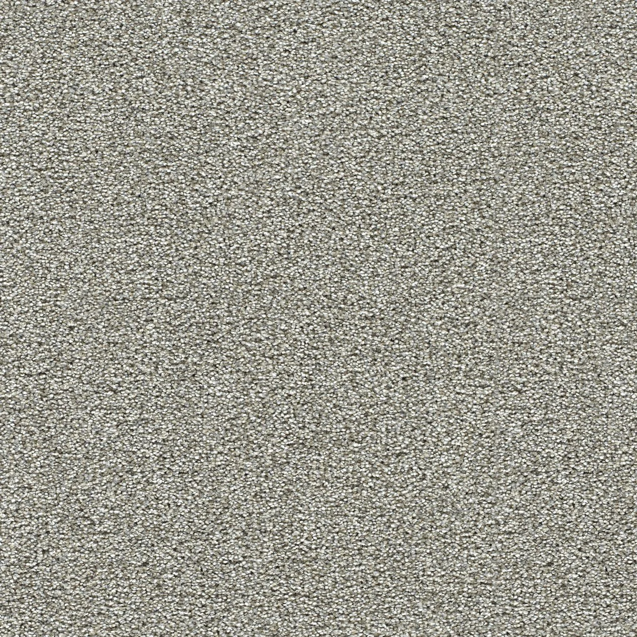 ambience.jpg