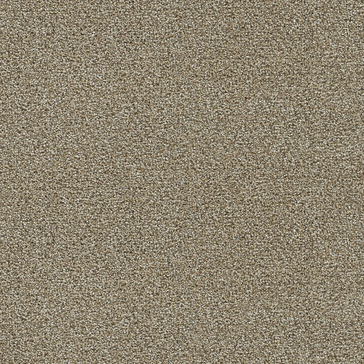 toasted.jpg