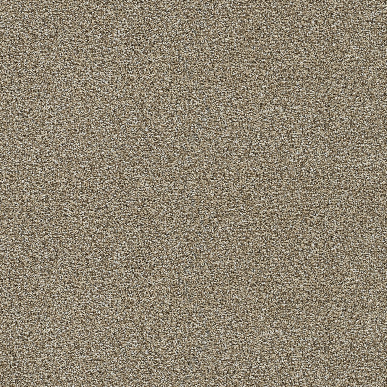 toasted.jpg