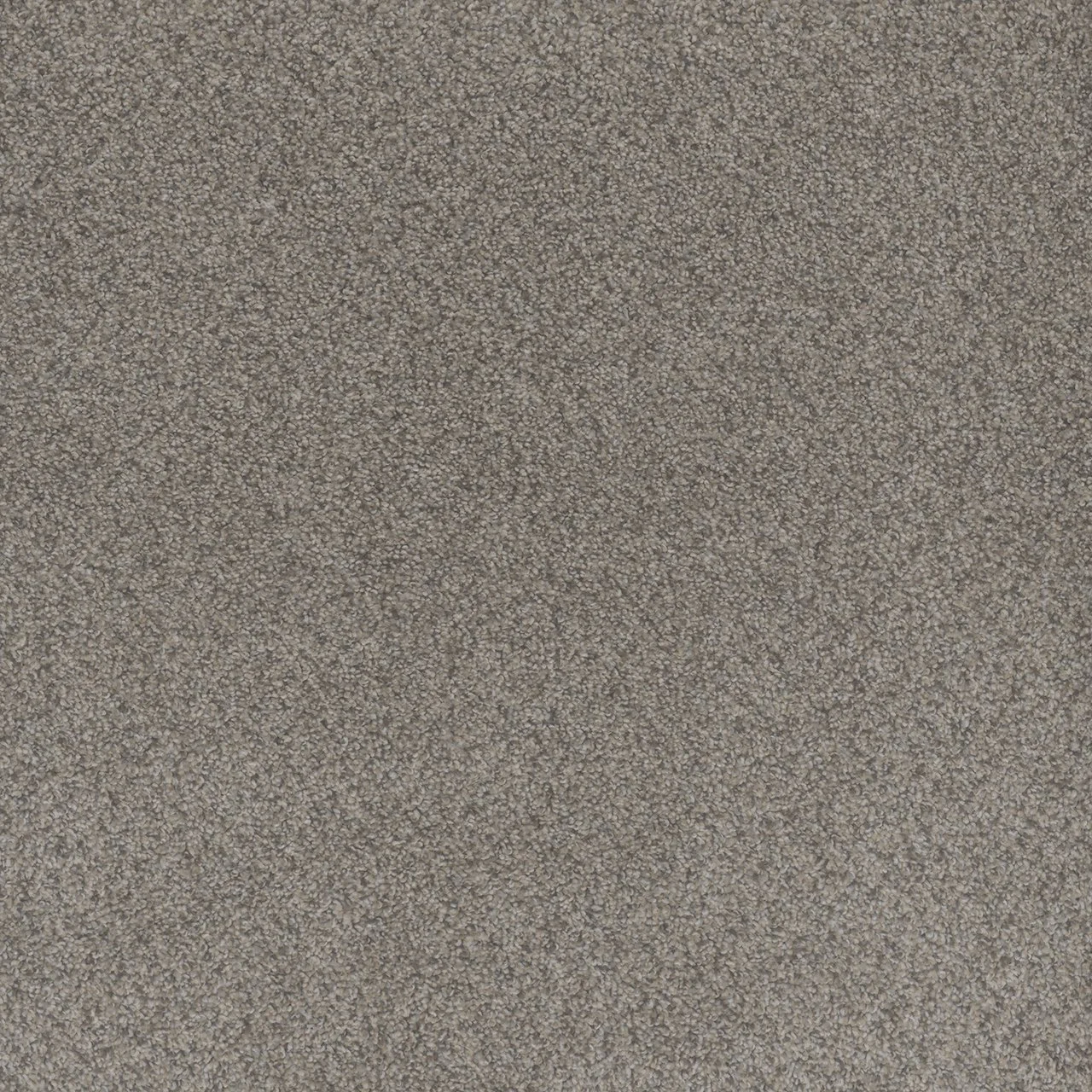 canyon.jpg