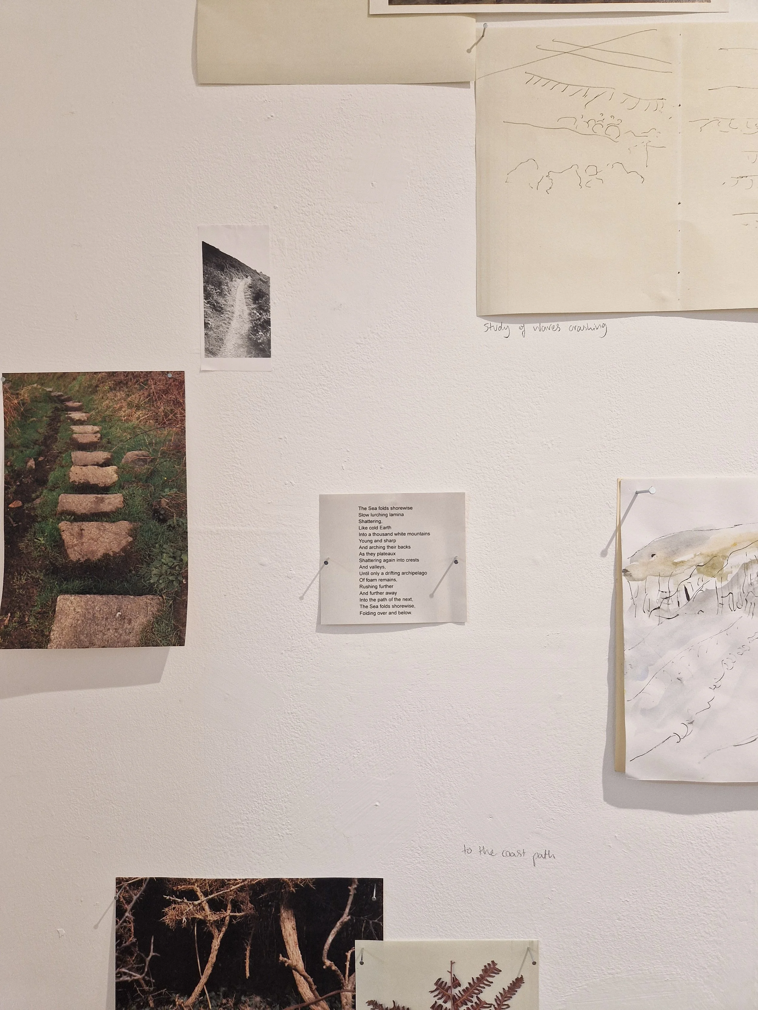 Landing TONER exhibtion Ella Thomson-16.jpg