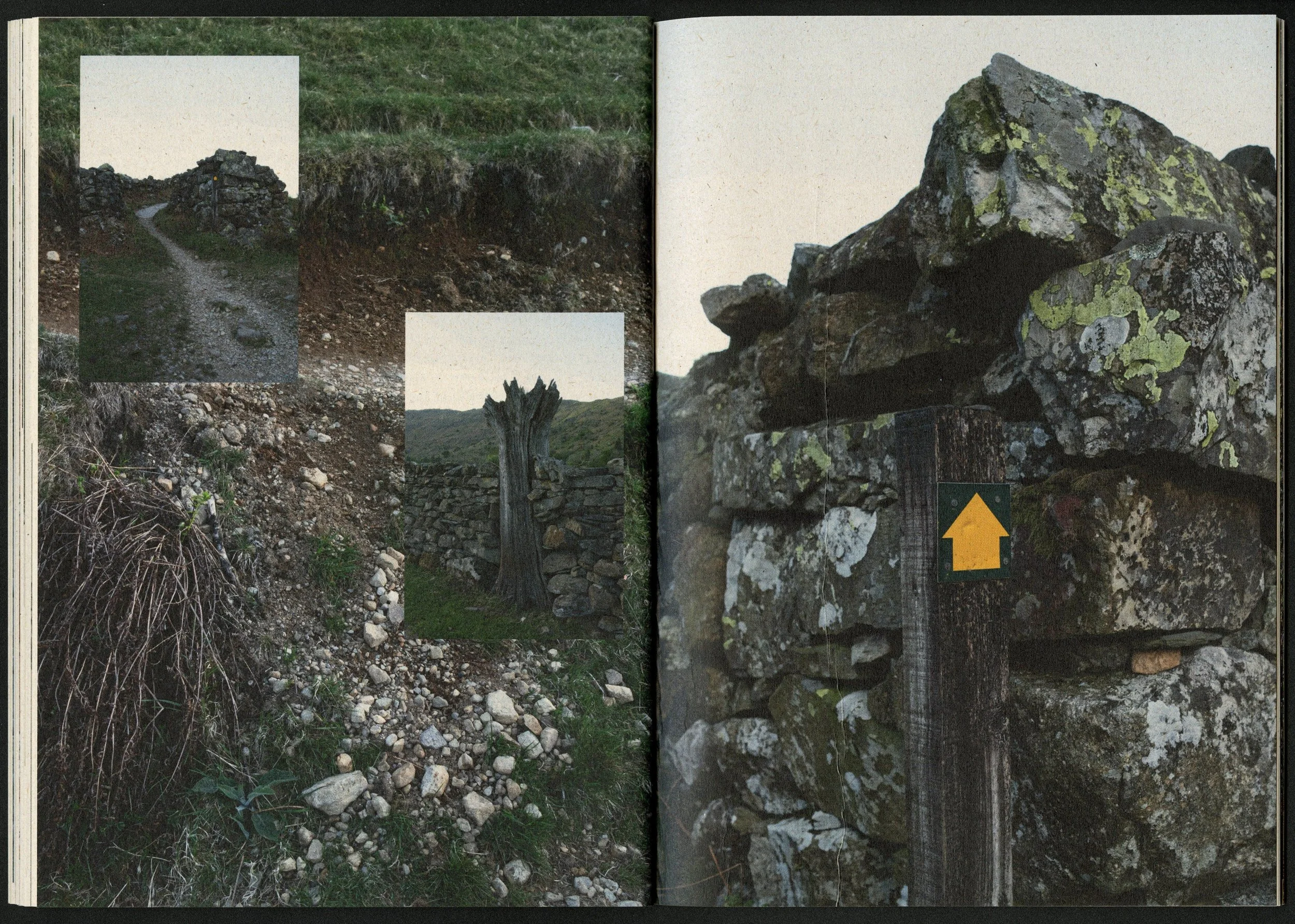 GREAT-LANGDALE-Landing-zine-scan---Ella-Thomson-11-e84d2a62a7b3b1551937f6fcfe3a8478.jpg