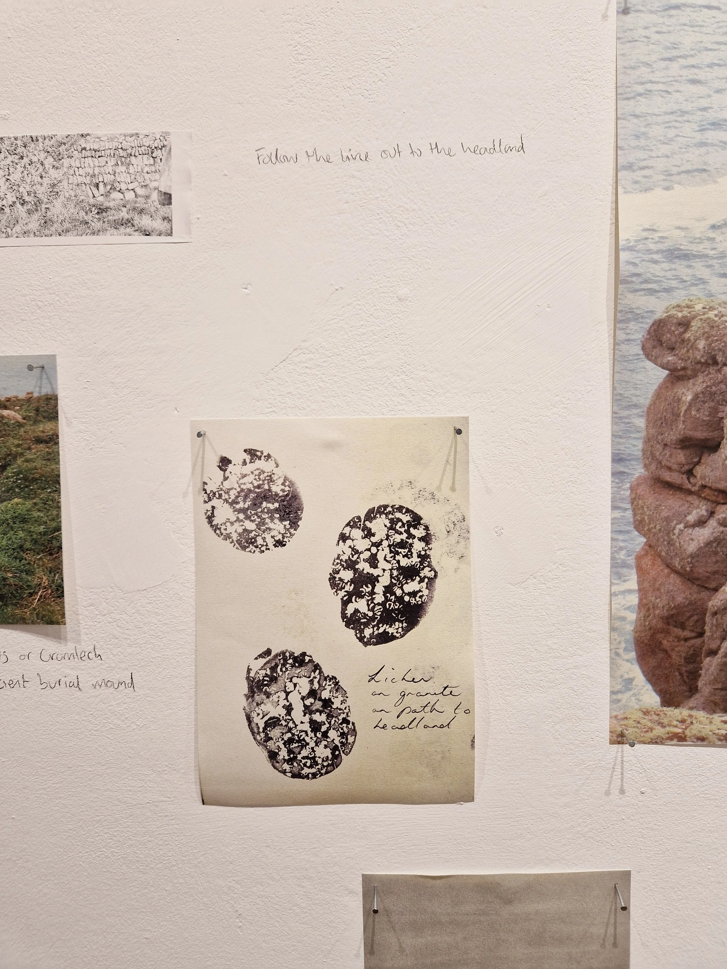 Landing TONER exhibtion Ella Thomson-07.jpg