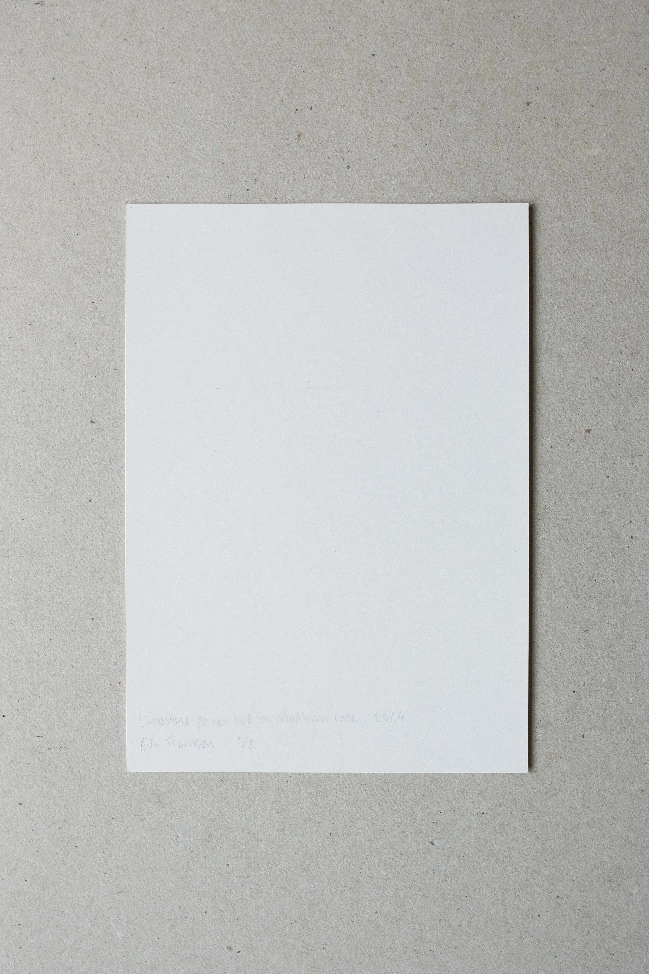 Ella Thomson Shop-33.jpg