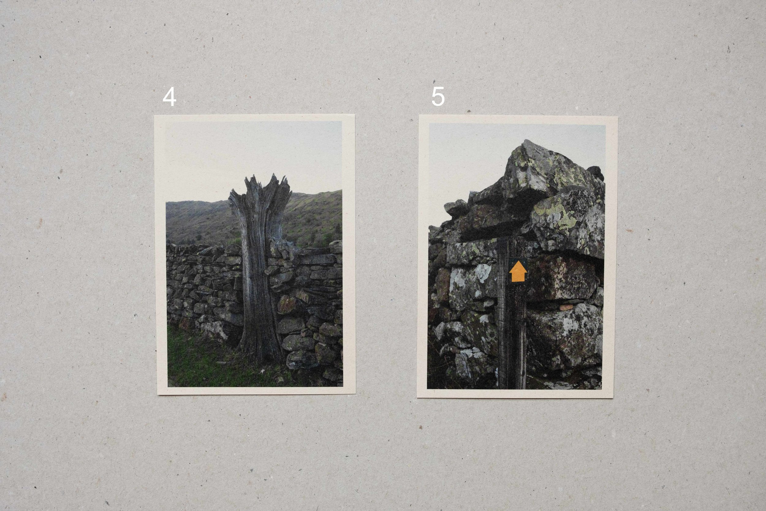 Landing  a6 LANGDALE_2.jpg