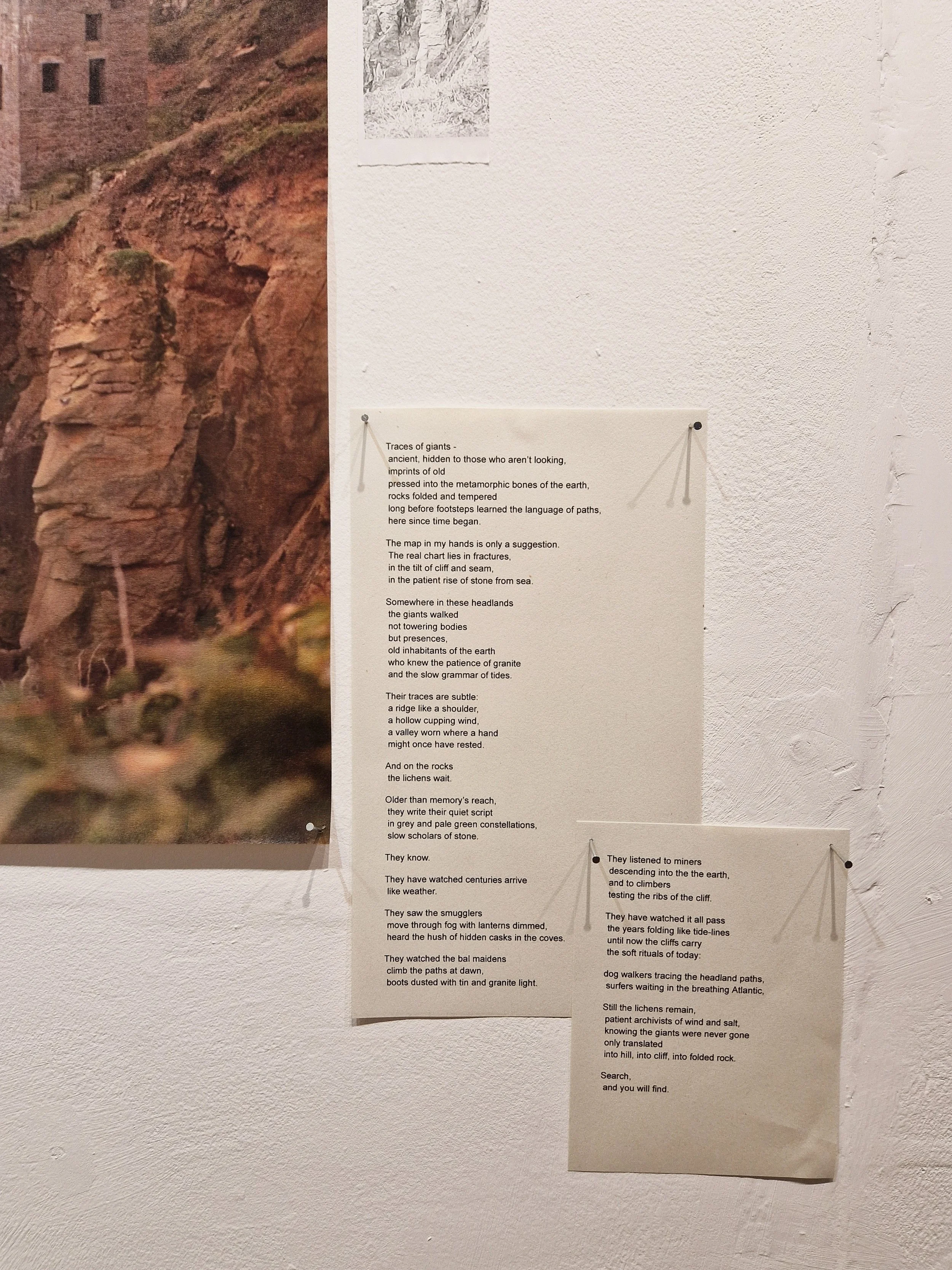 Landing TONER exhibtion Ella Thomson-05.jpg