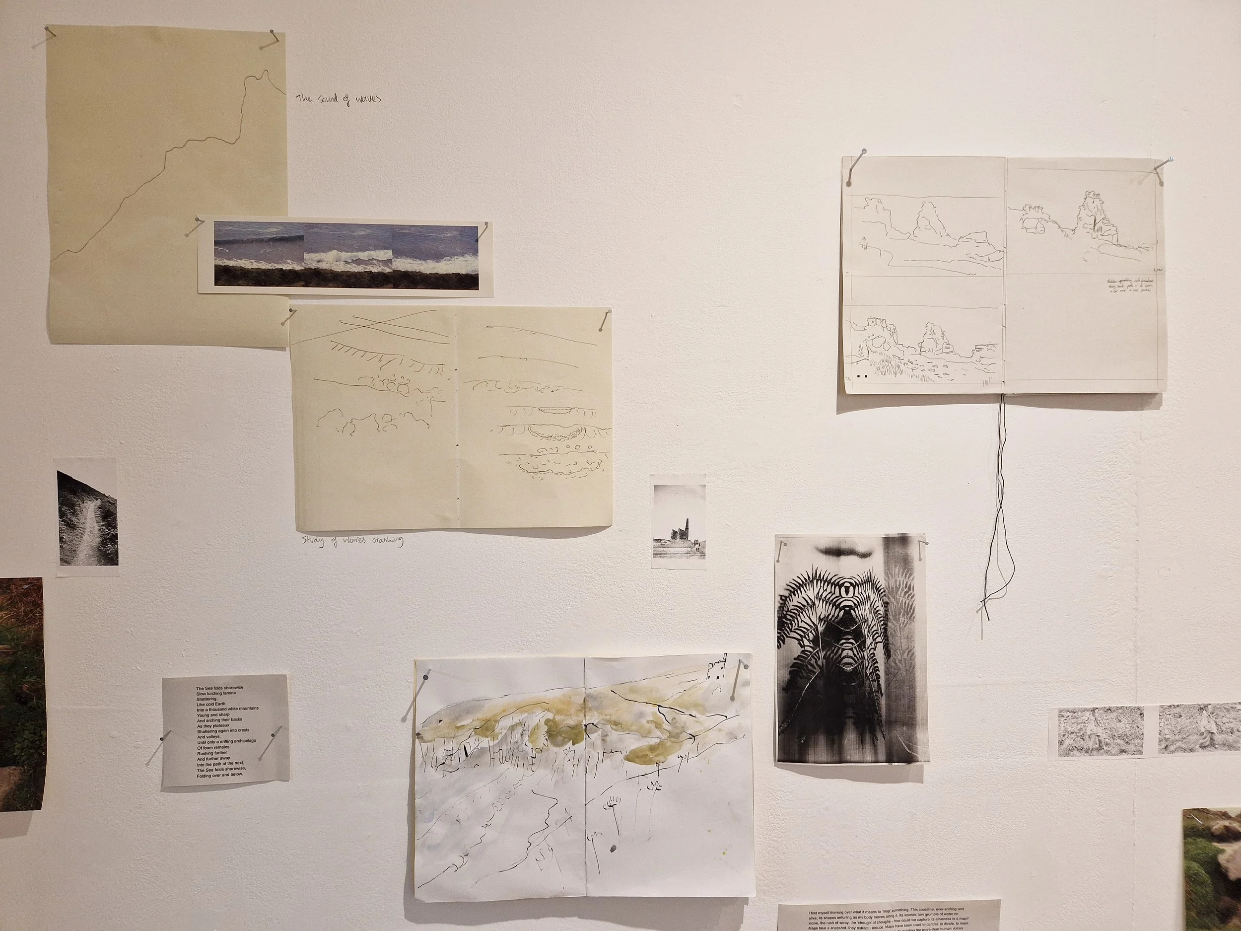 Landing TONER exhibtion Ella Thomson-11.jpg
