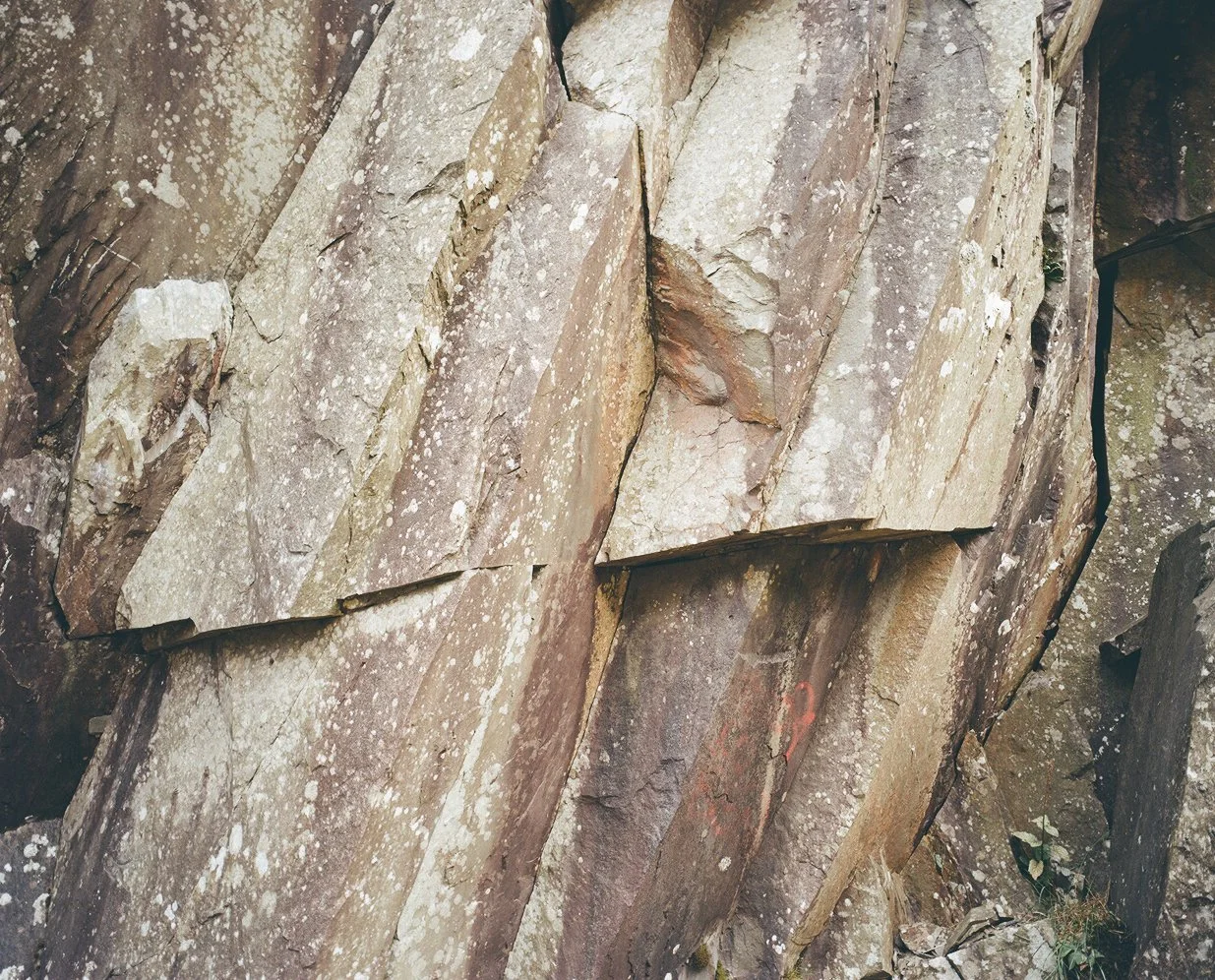 Runestone Ella Thomson-1.jpg