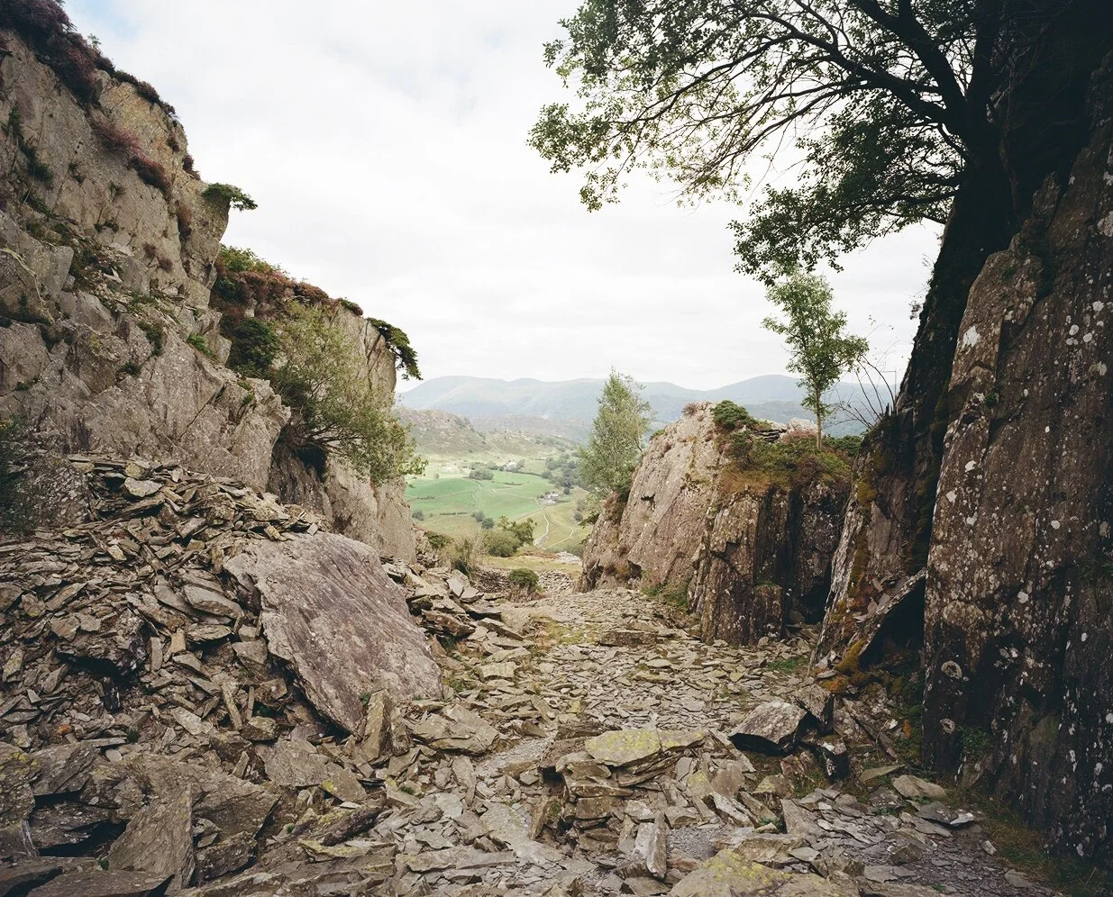 Runestone Ella Thomson.jpg